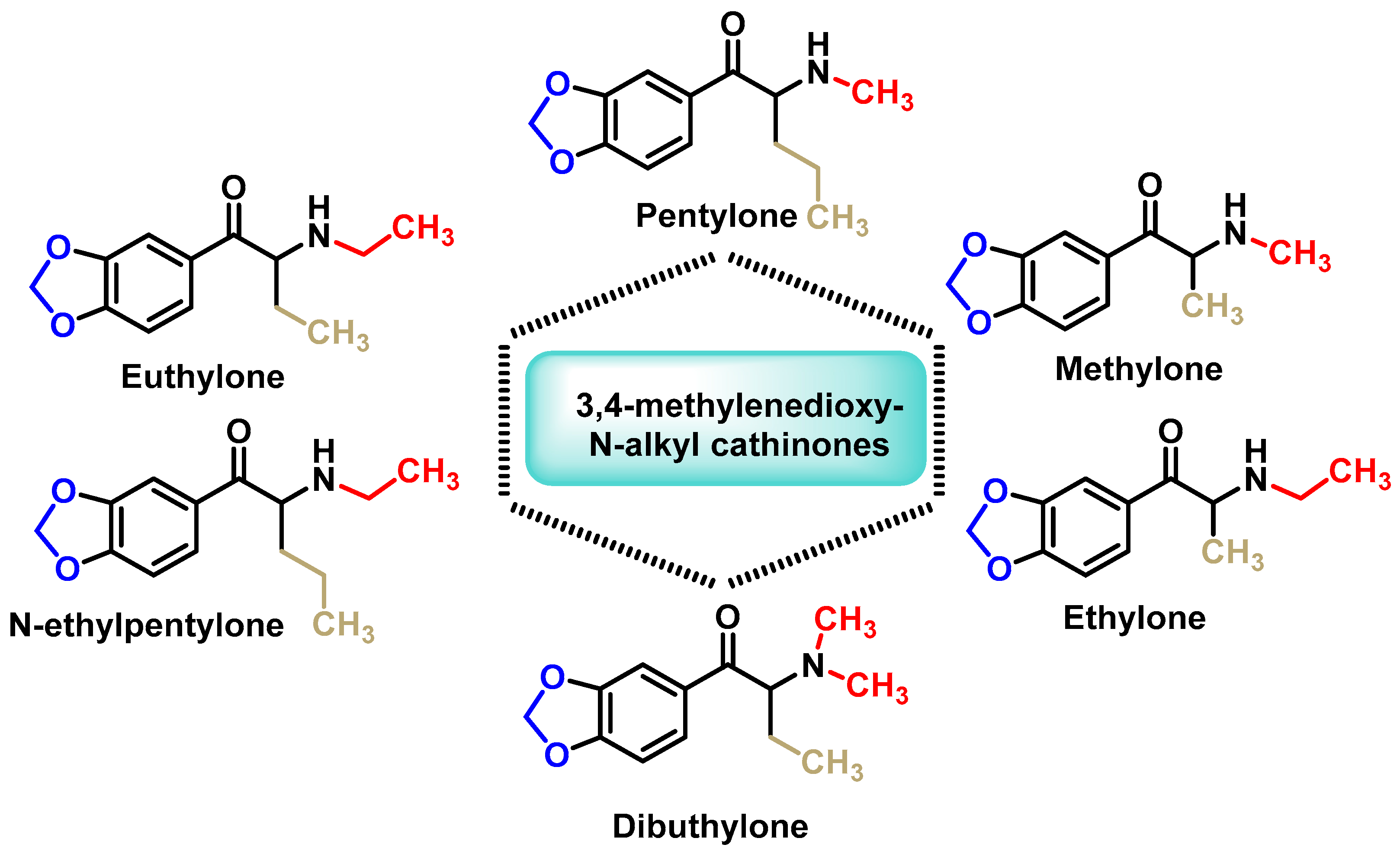 Molecules 29 05918 g010