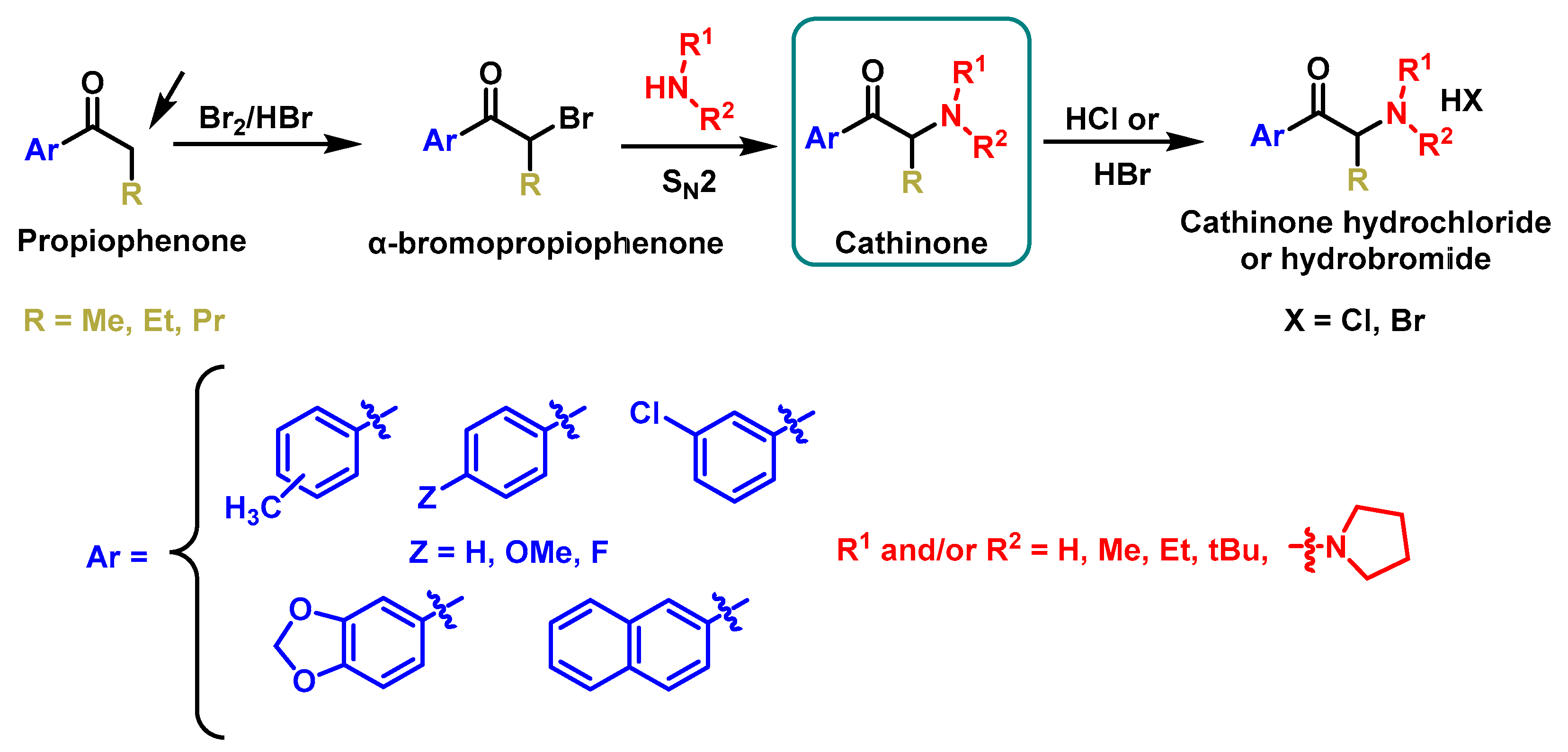 Molecules 29 05918 g012