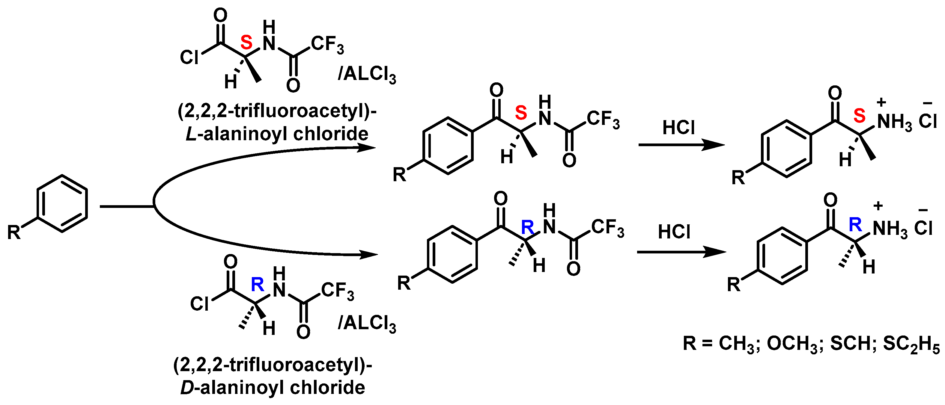 Molecules 29 05918 g016