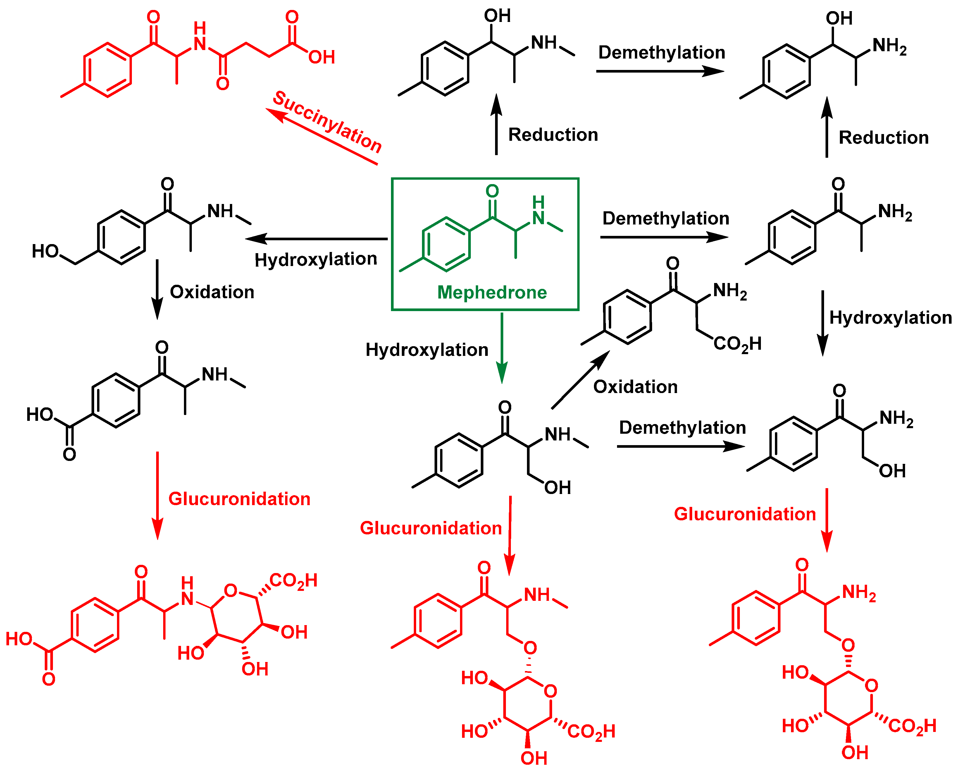 Molecules 29 05918 g026