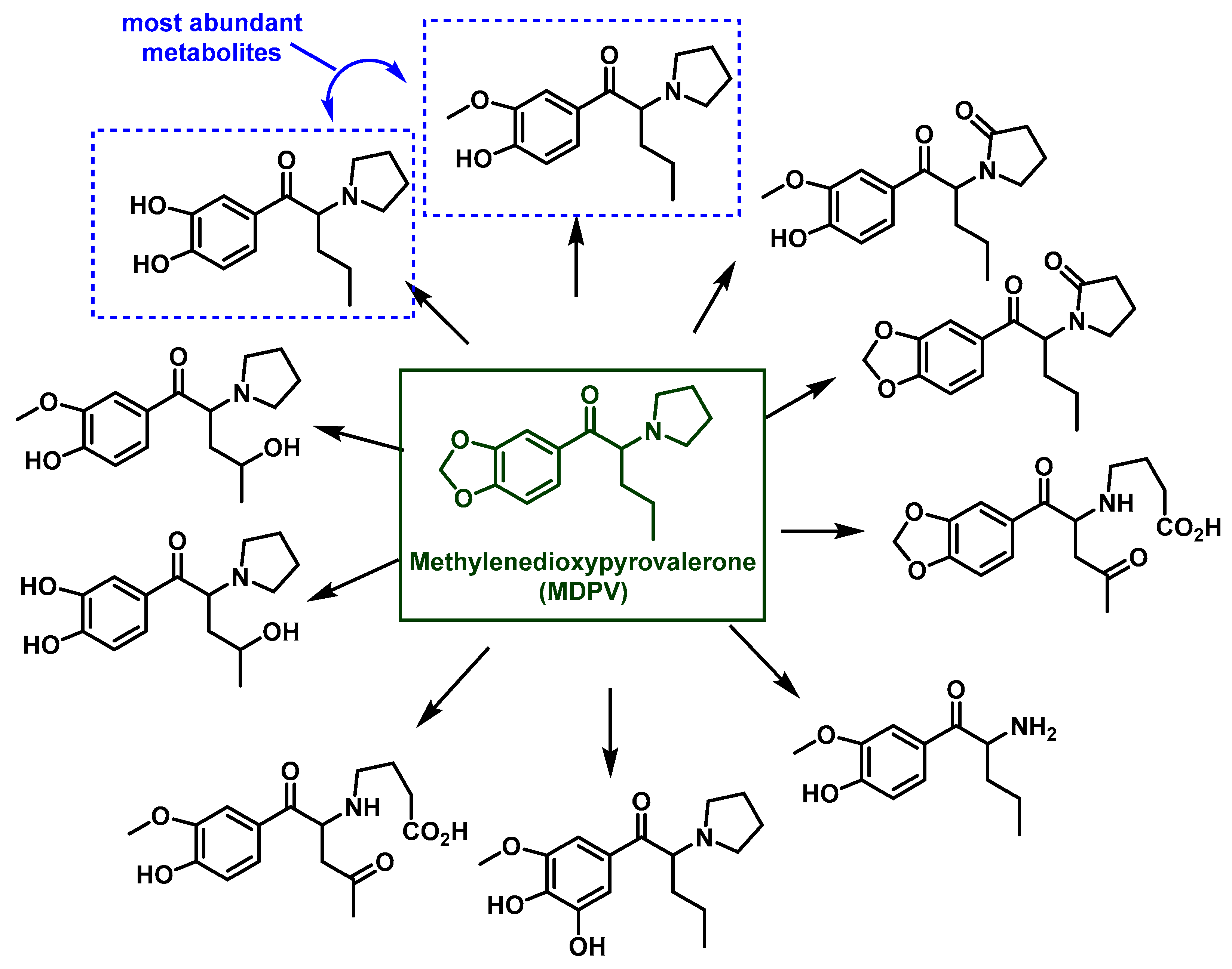 Molecules 29 05918 g028