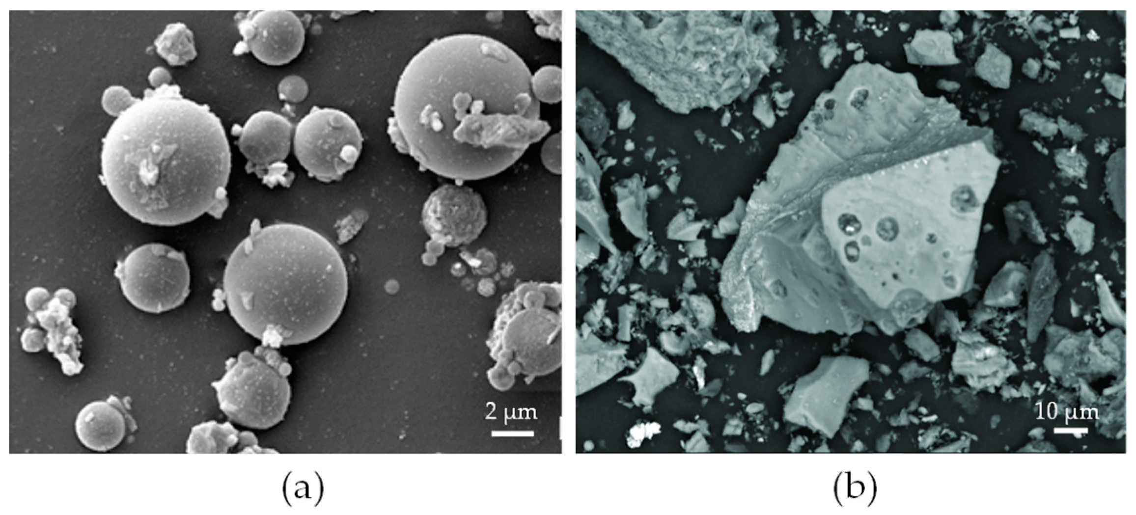 Molecules 29 05919 g004 Molecules 29 05919 g004