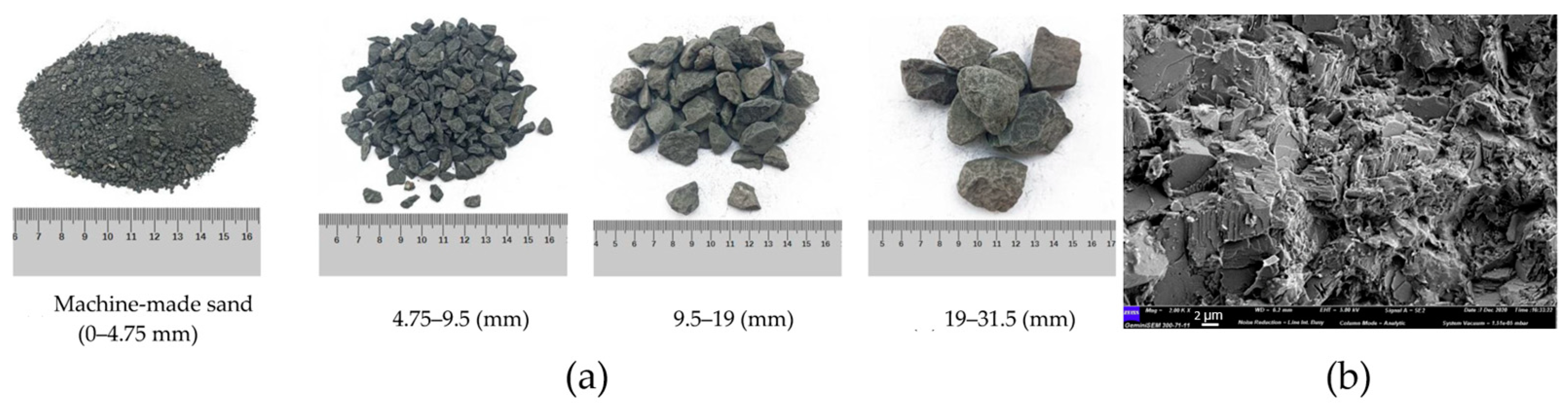 Molecules 29 05919 g010 Molecules 29 05919 g010