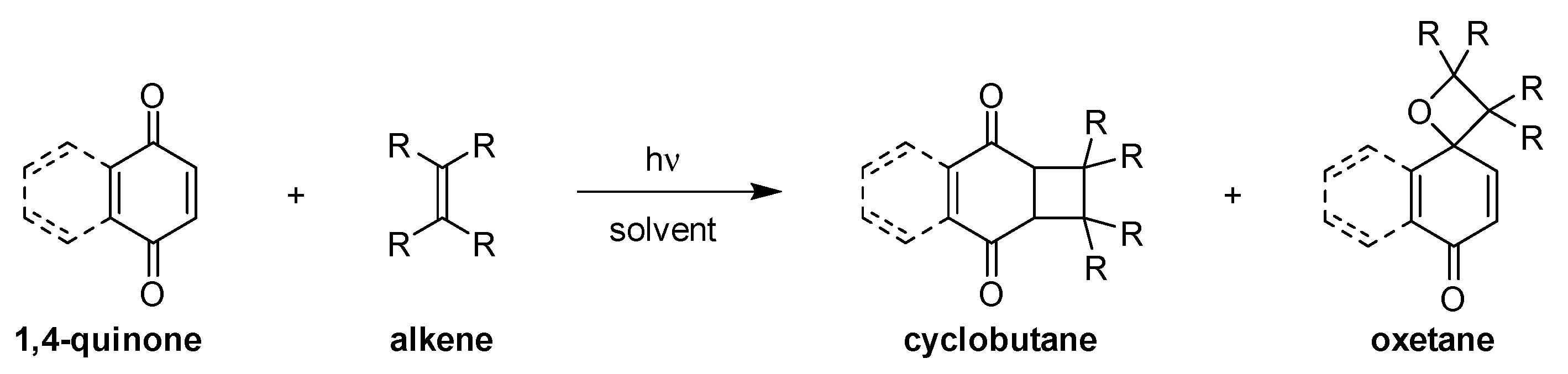 Molecules 29 05920 sch001
