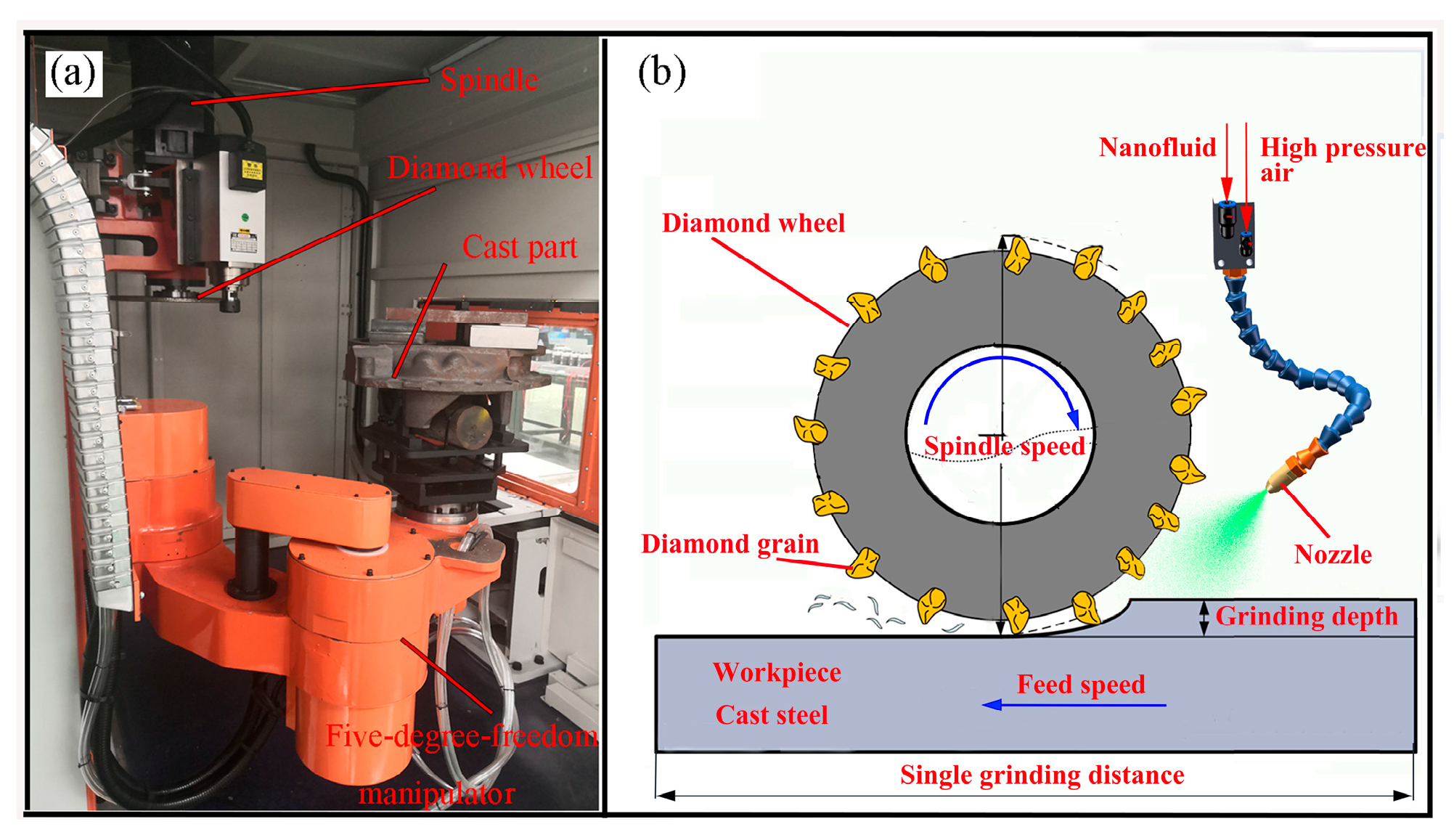 Molecules 29 05925 g001
