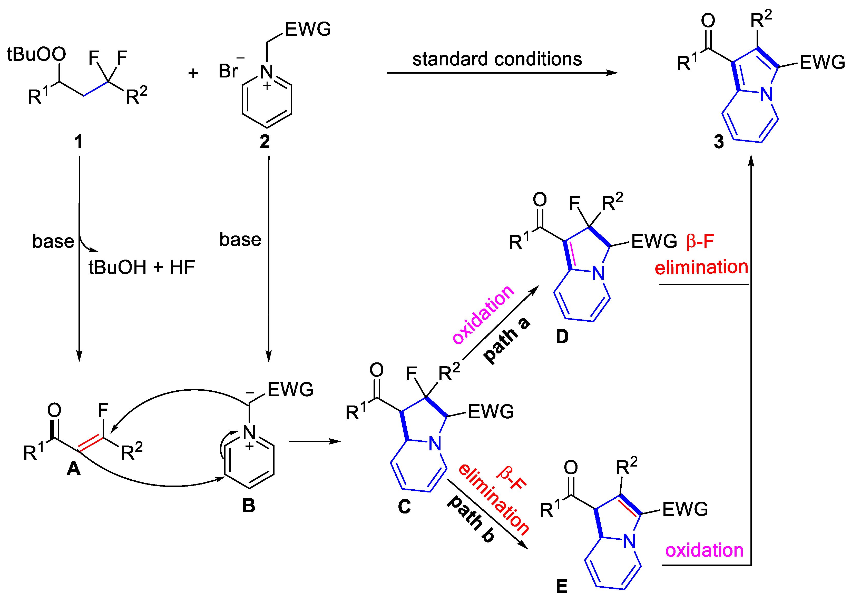 Molecules 29 05927 sch002