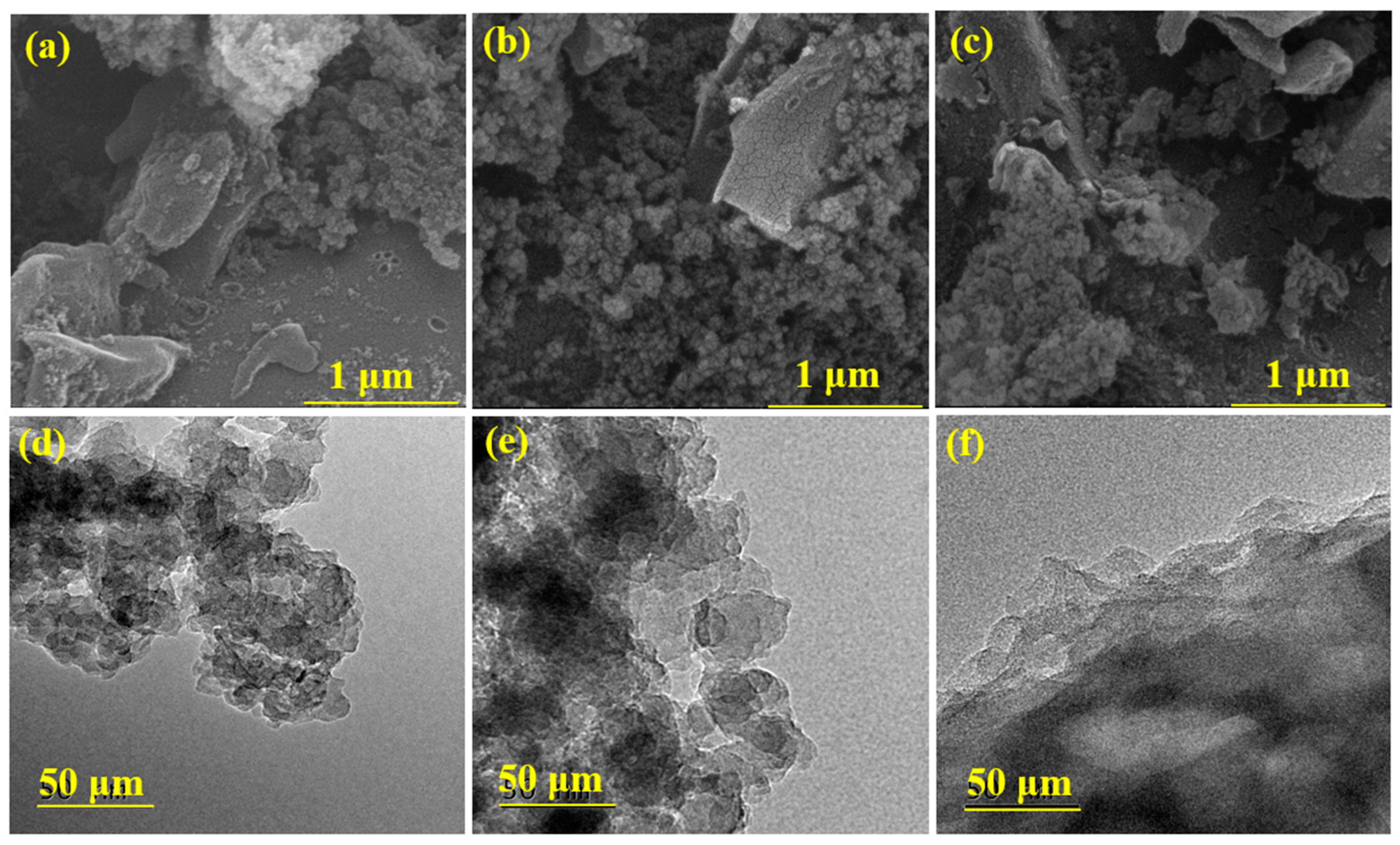 Molecules 29 05931 g001