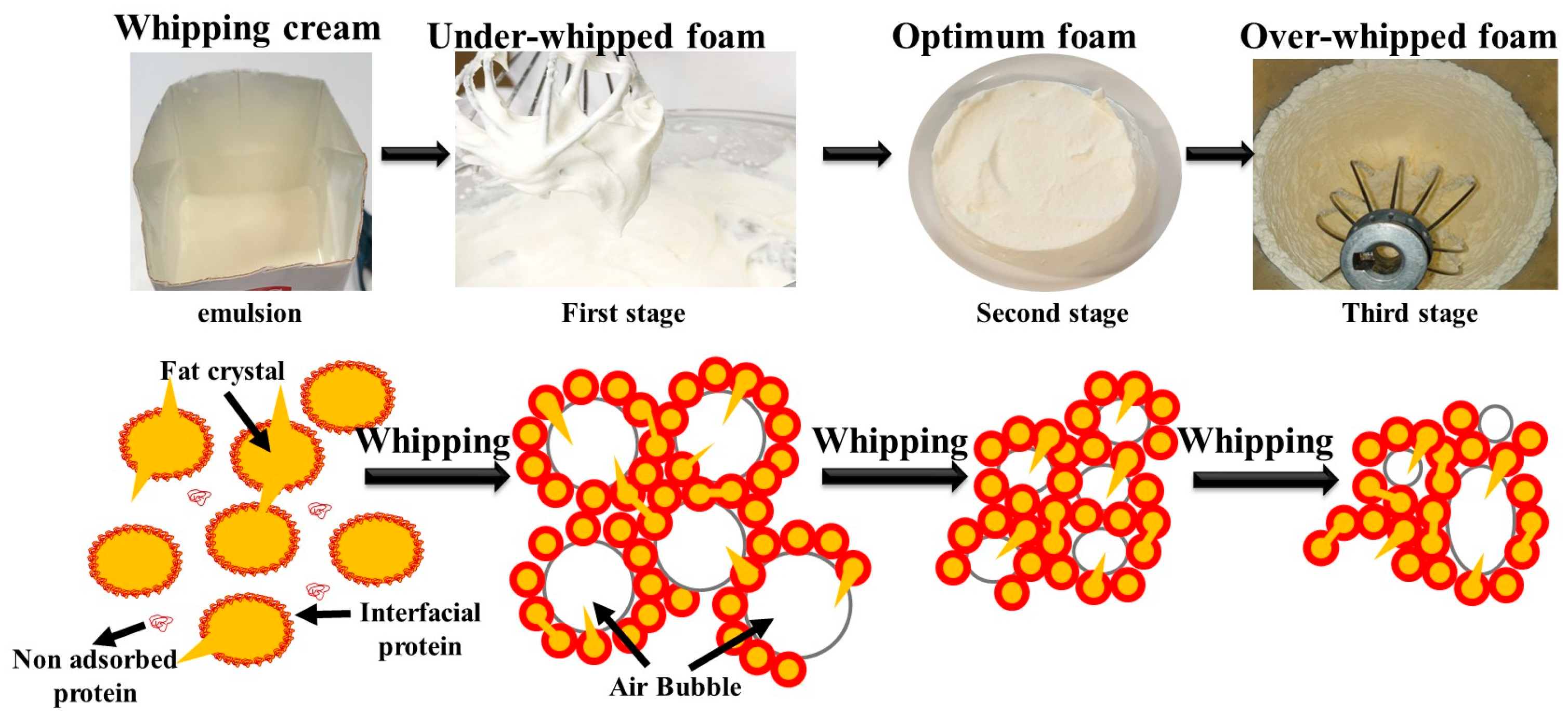 Molecules 29 05933 g001 Molecules 29 05933 g001