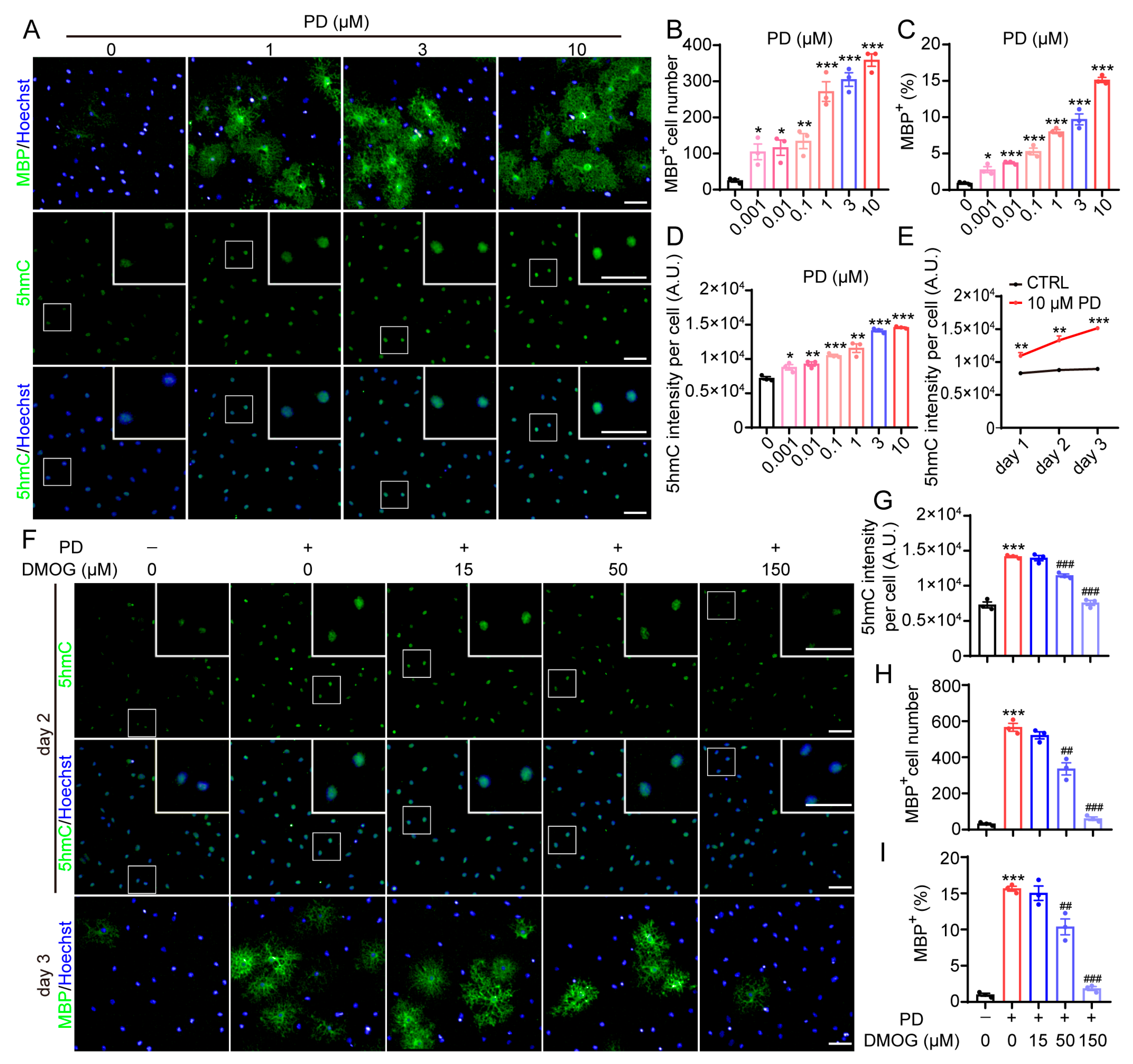 Molecules 29 05939 g002