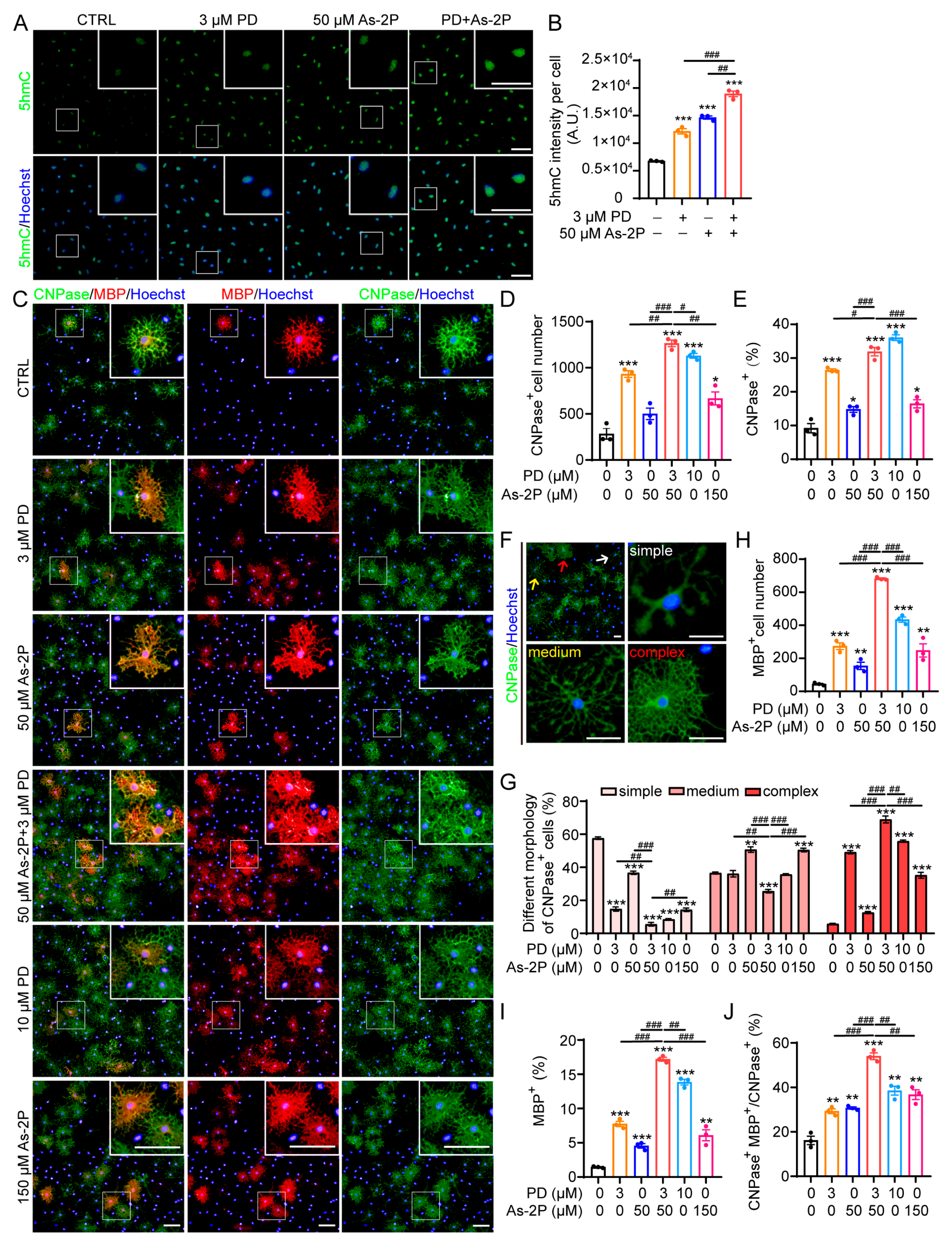 Molecules 29 05939 g004