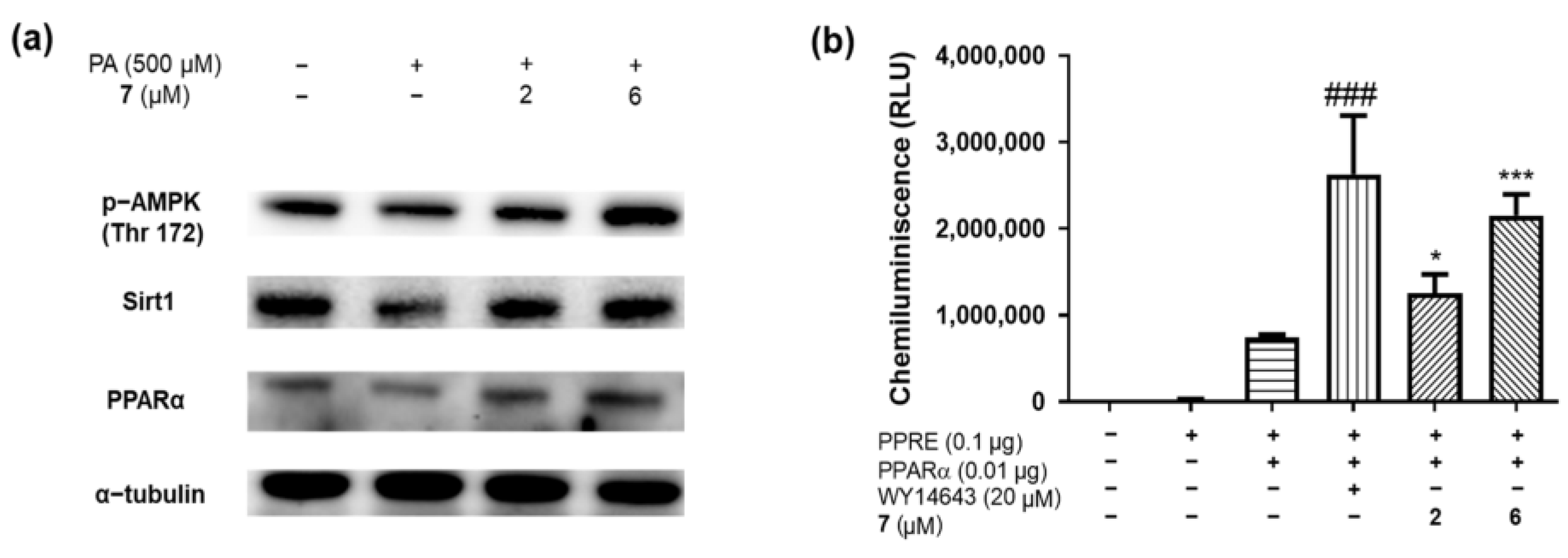 Molecules 29 05942 g006