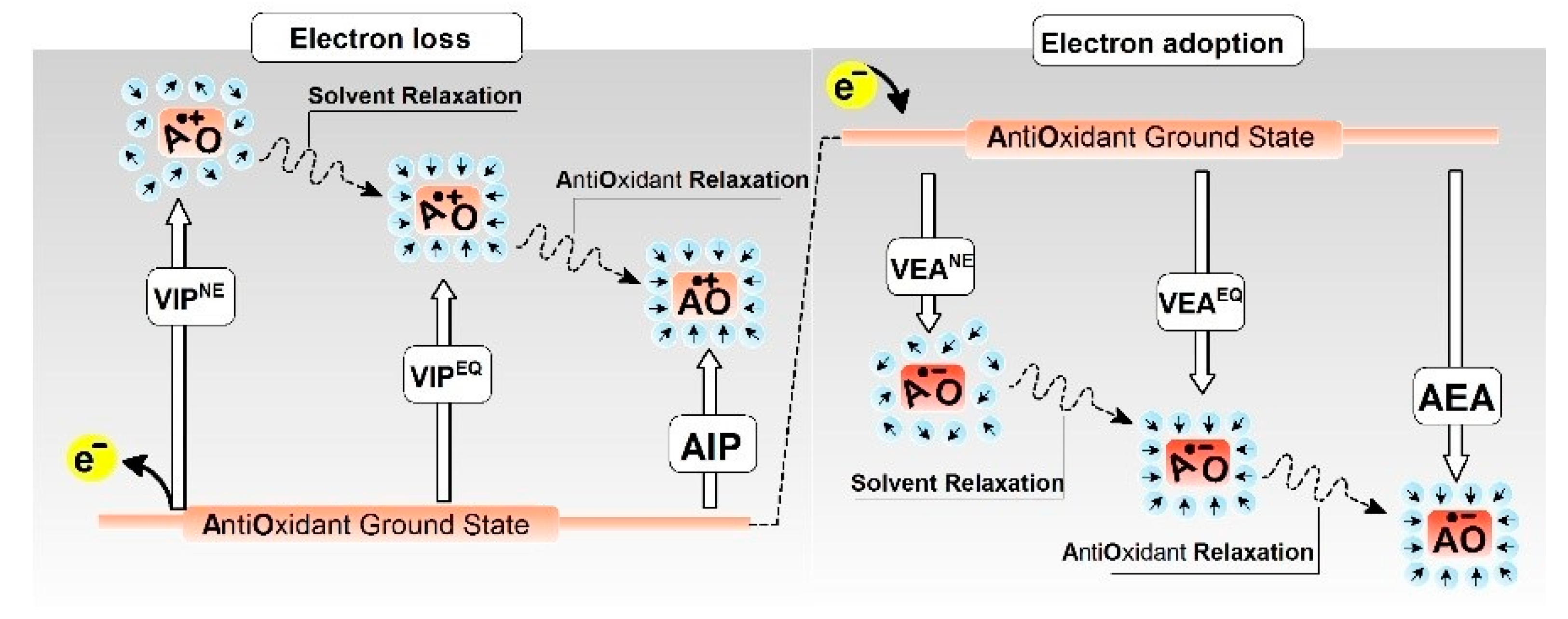 Molecules 29 05944 g003