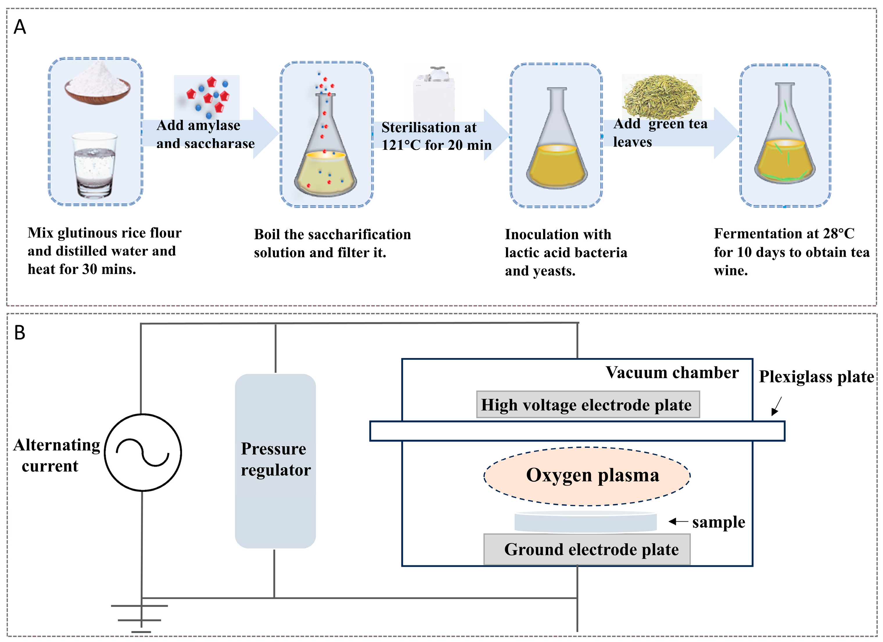 Molecules 29 05946 g005