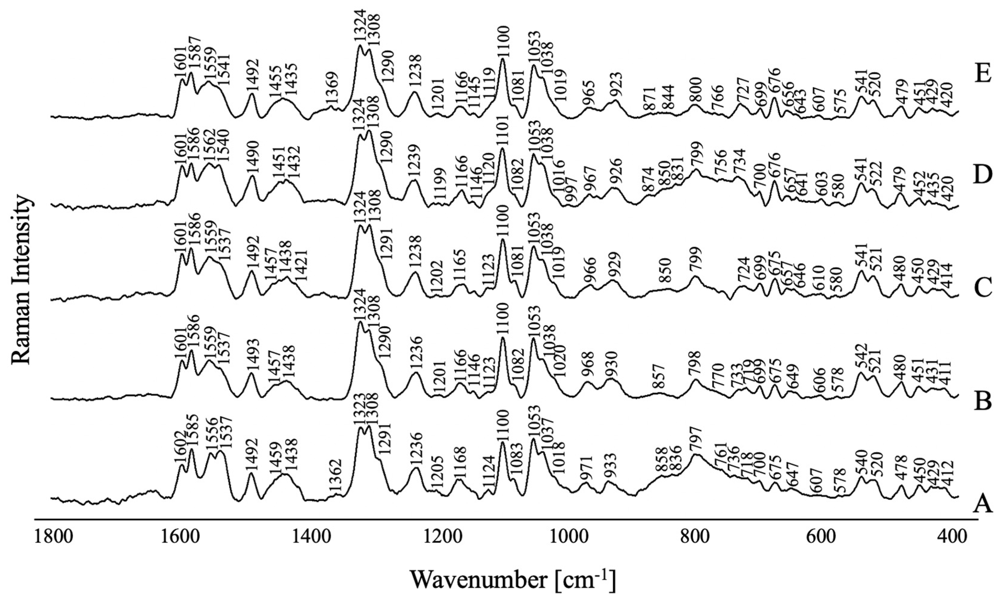 Molecules 29 05948 g006 Molecules 29 05948 g006