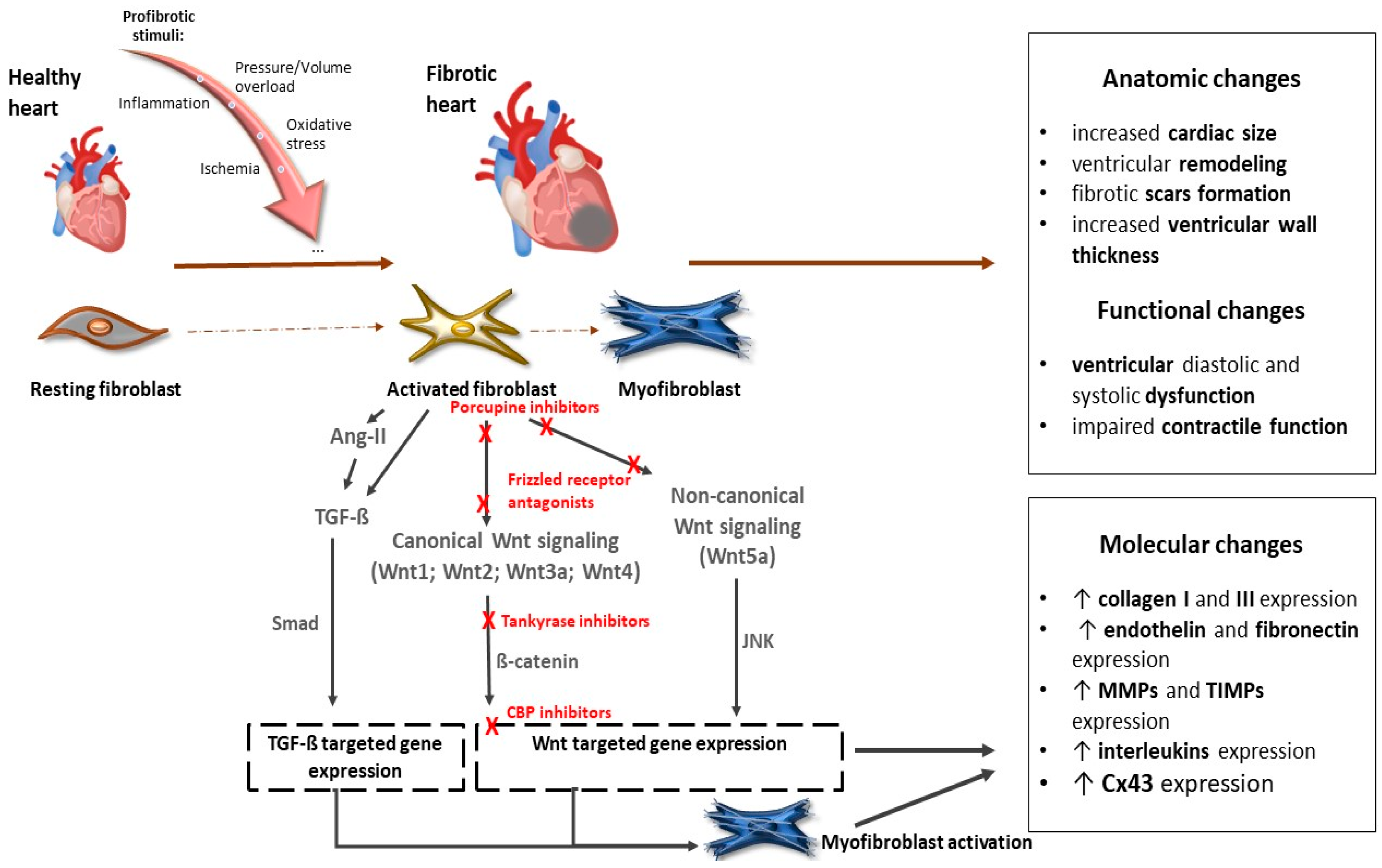 Molecules 29 05958 g002