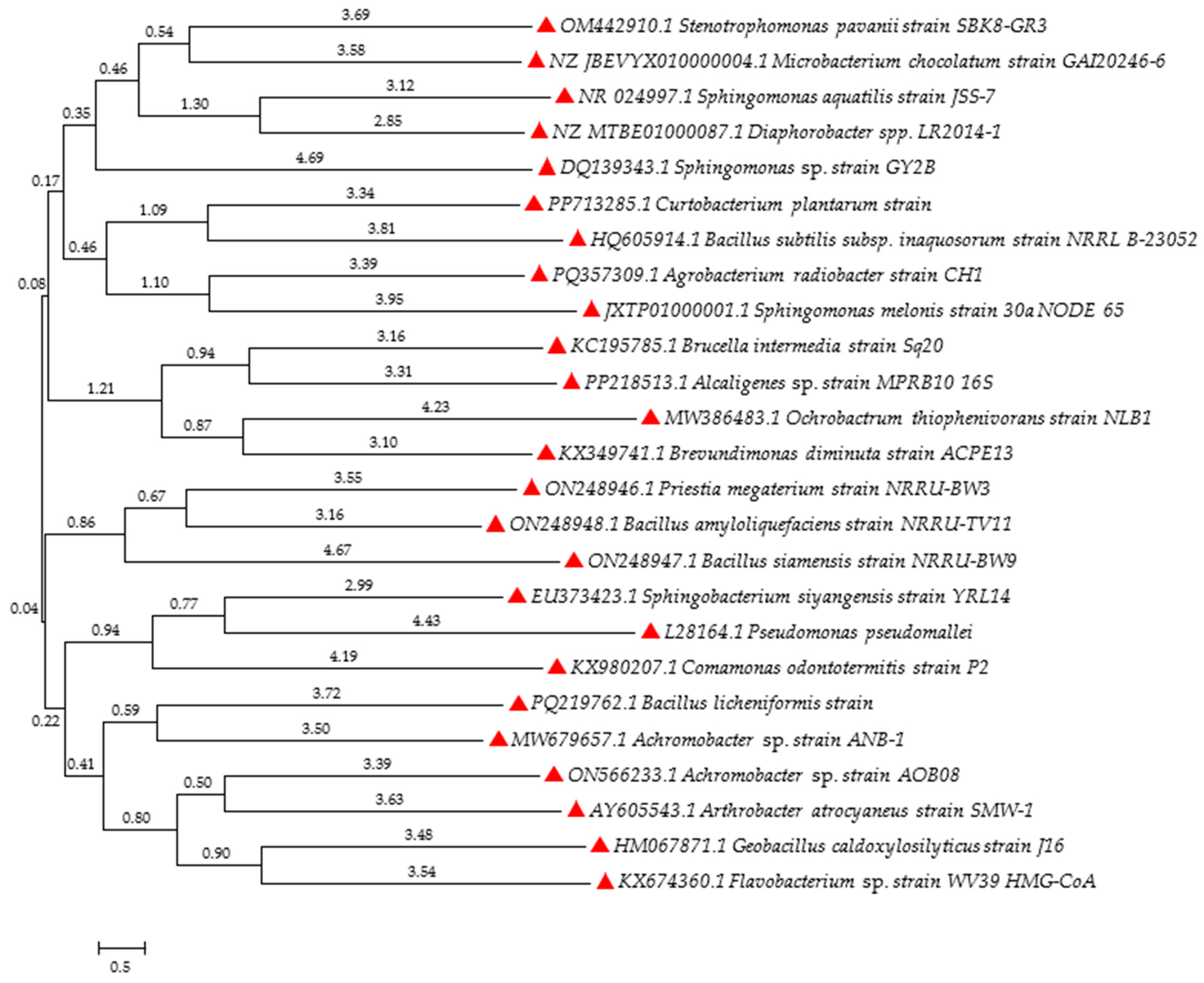 Molecules 29 05965 g003 Molecules 29 05965 g003