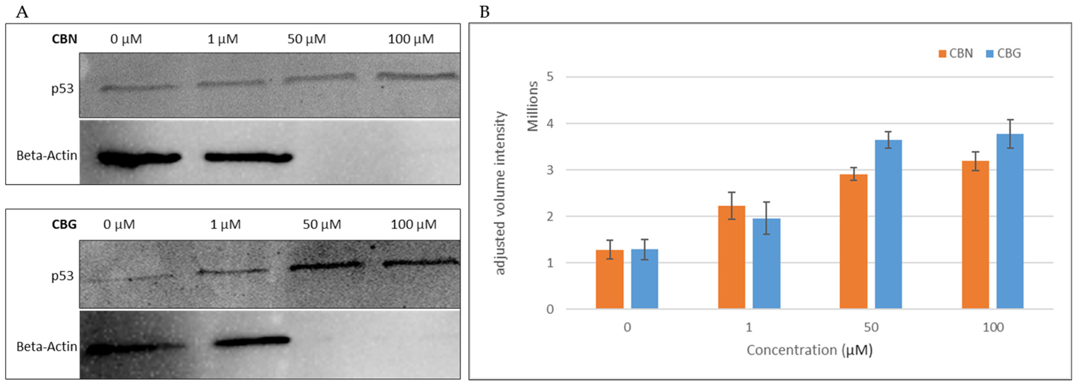 Molecules 29 05970 g006