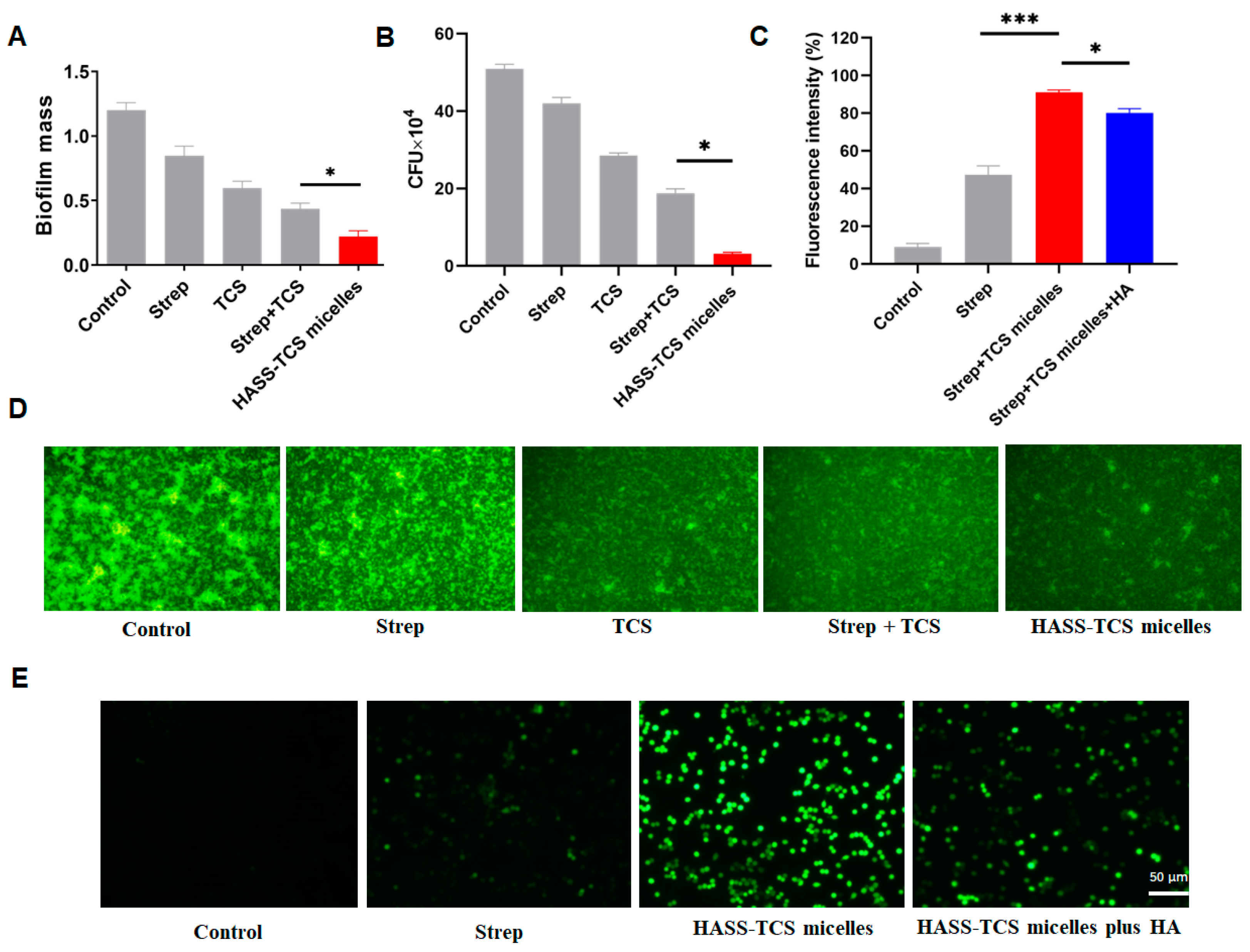 Molecules 29 05971 g006