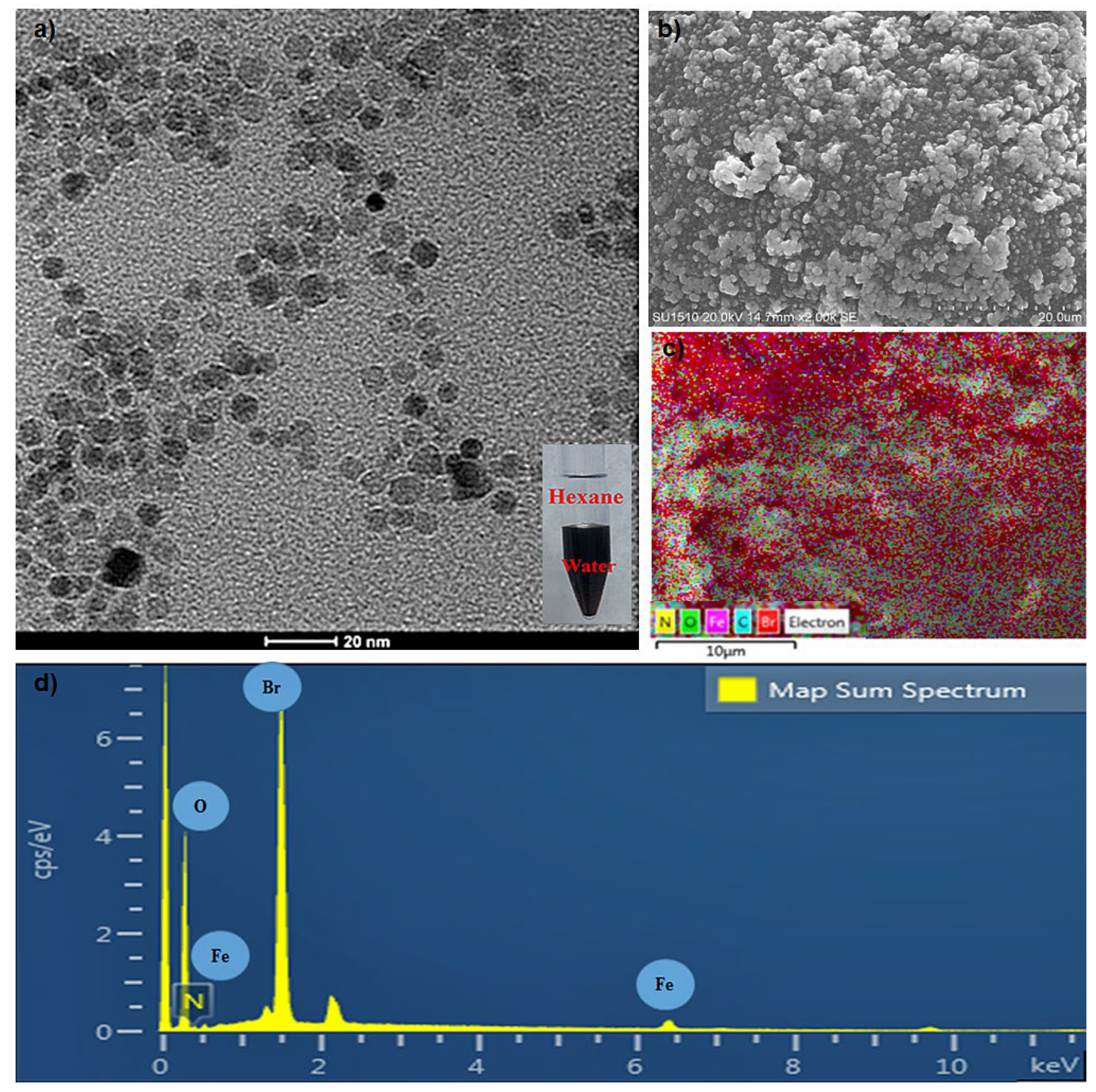 Molecules 29 05977 g005