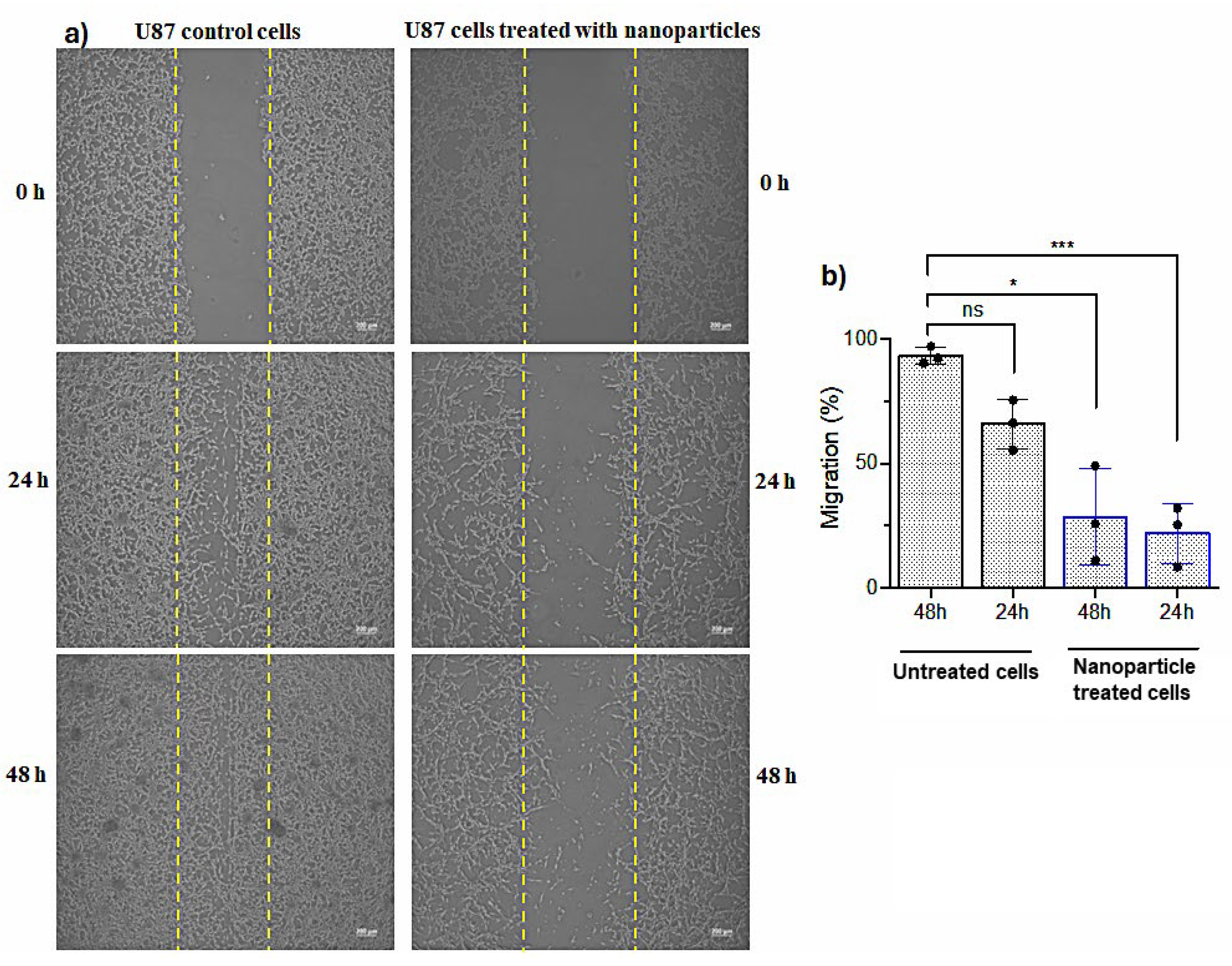 Molecules 29 05977 g013