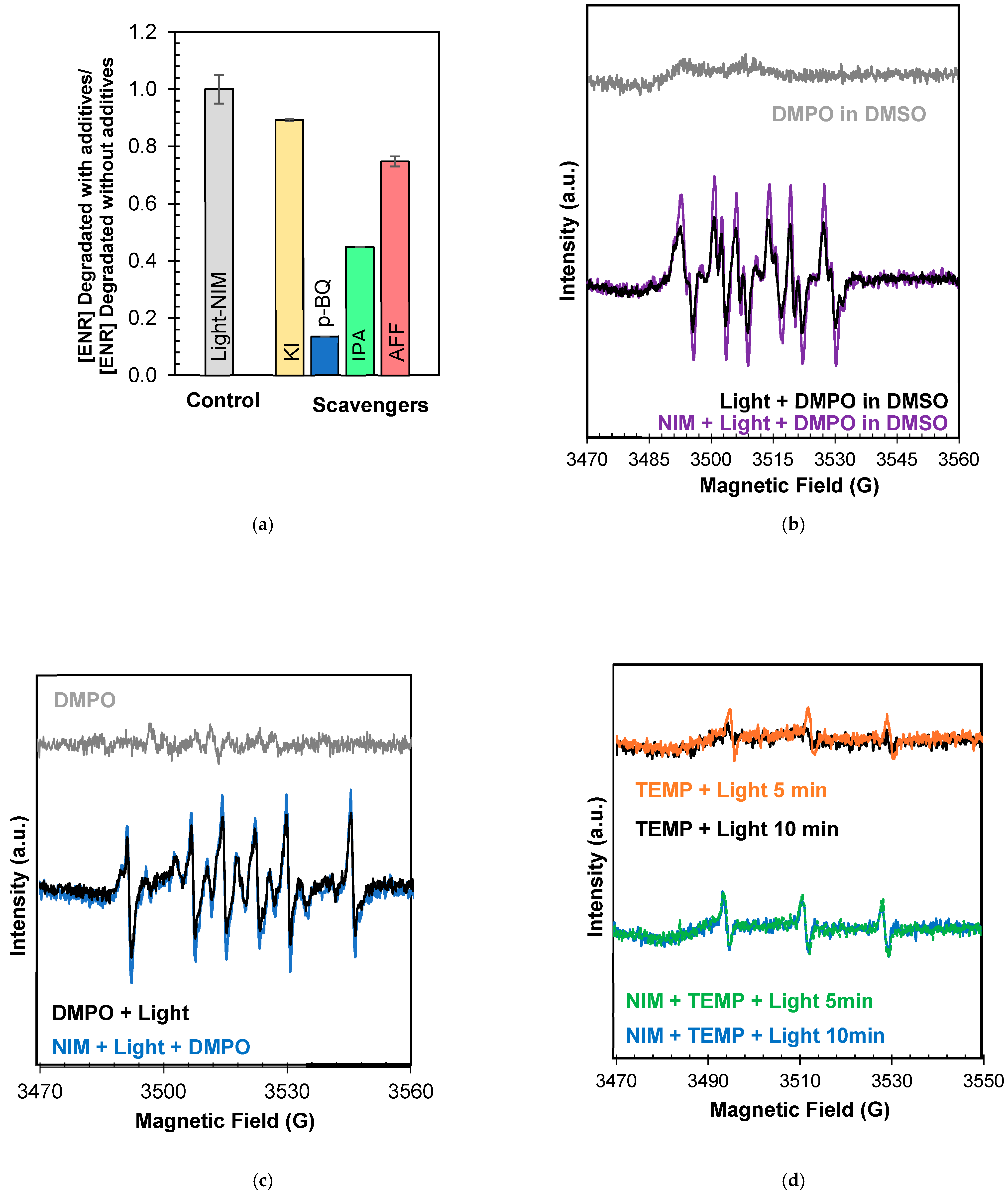 Molecules 29 05982 g005