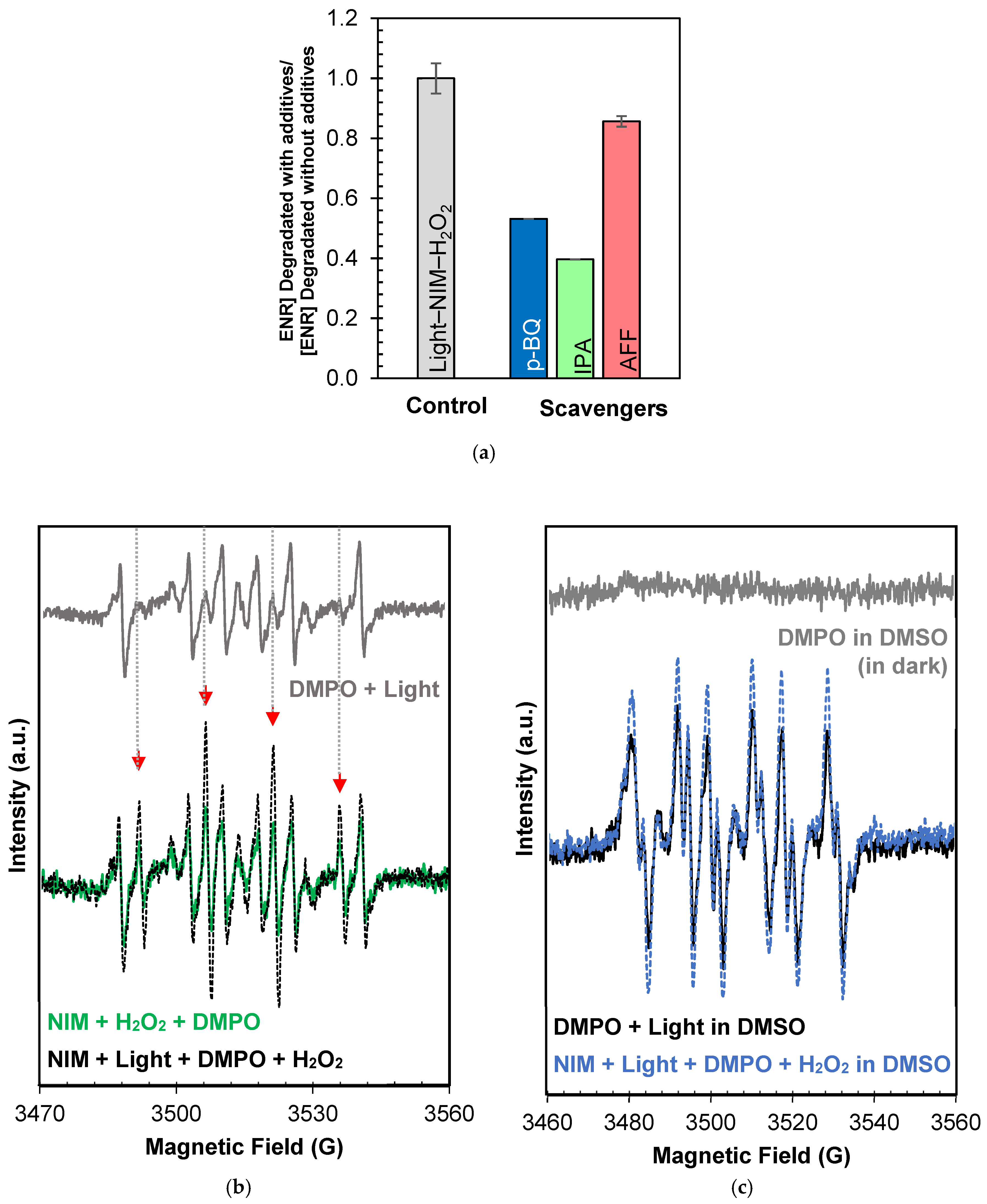 Molecules 29 05982 g006