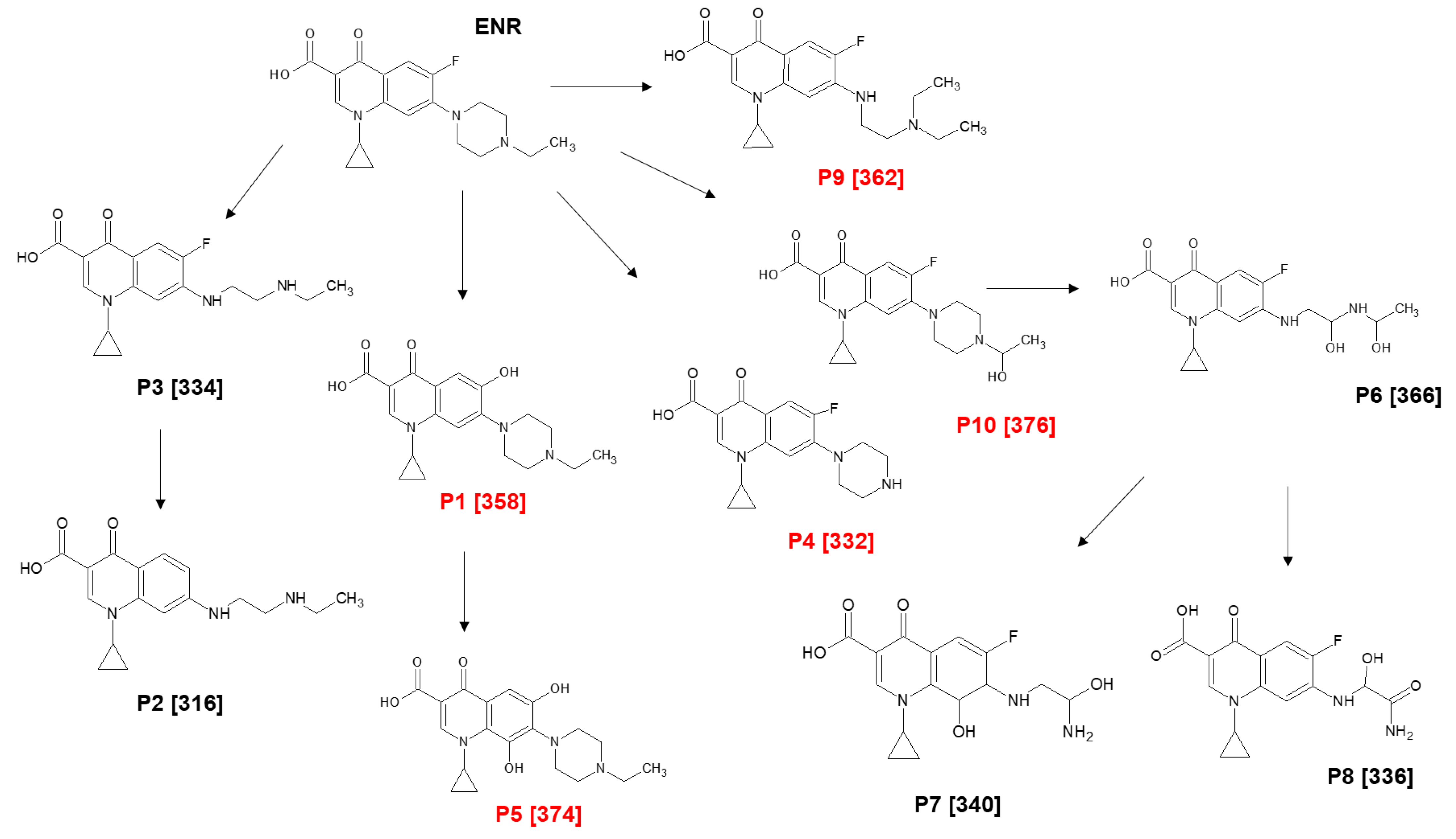 Molecules 29 05982 g009