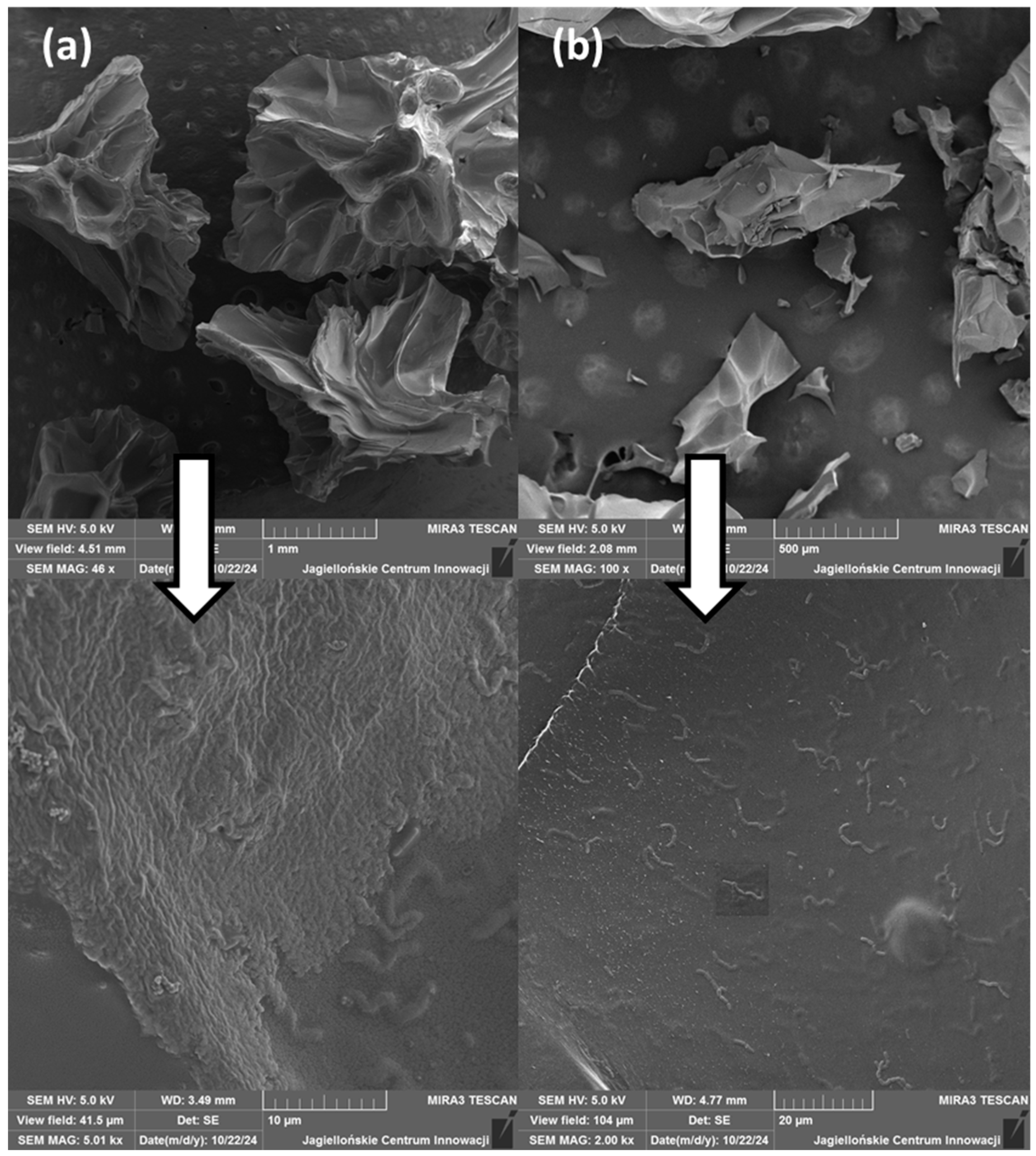 Molecules 29 05984 g005