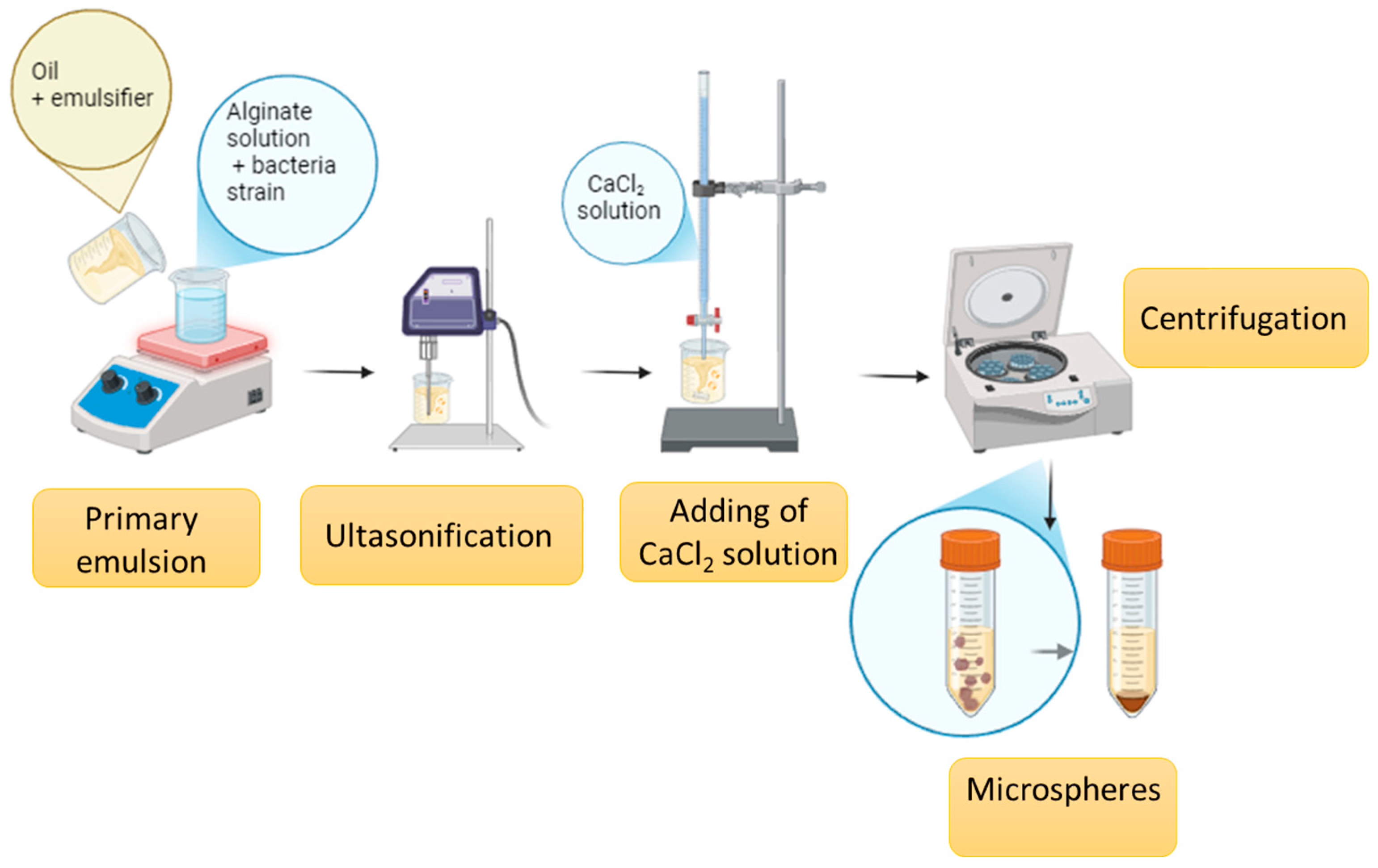 Molecules 29 05984 g010