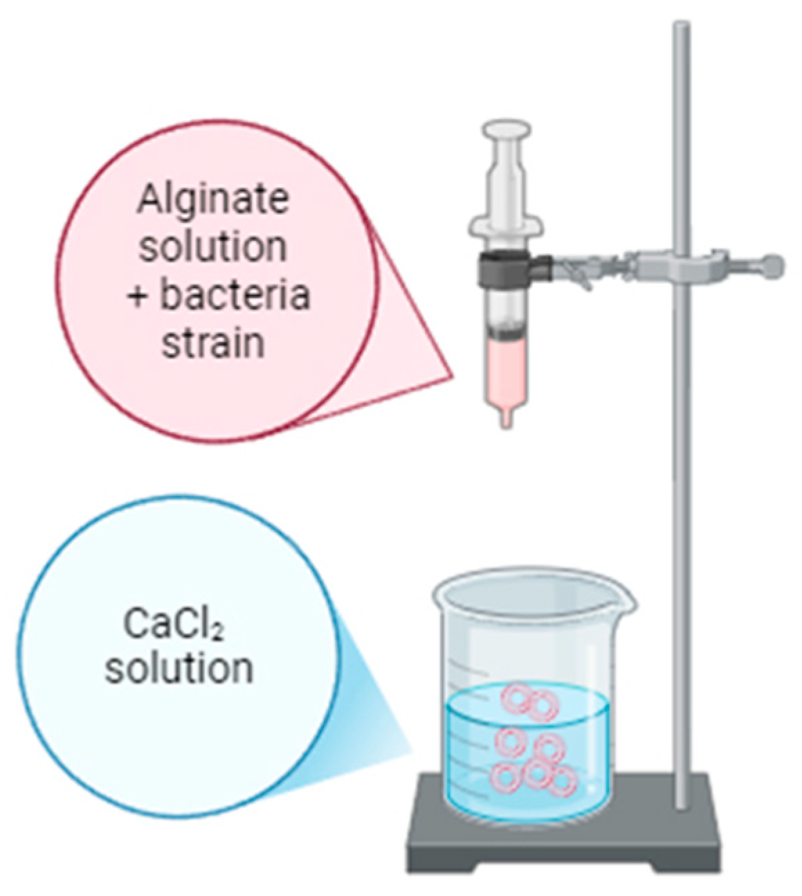 Molecules 29 05984 g011