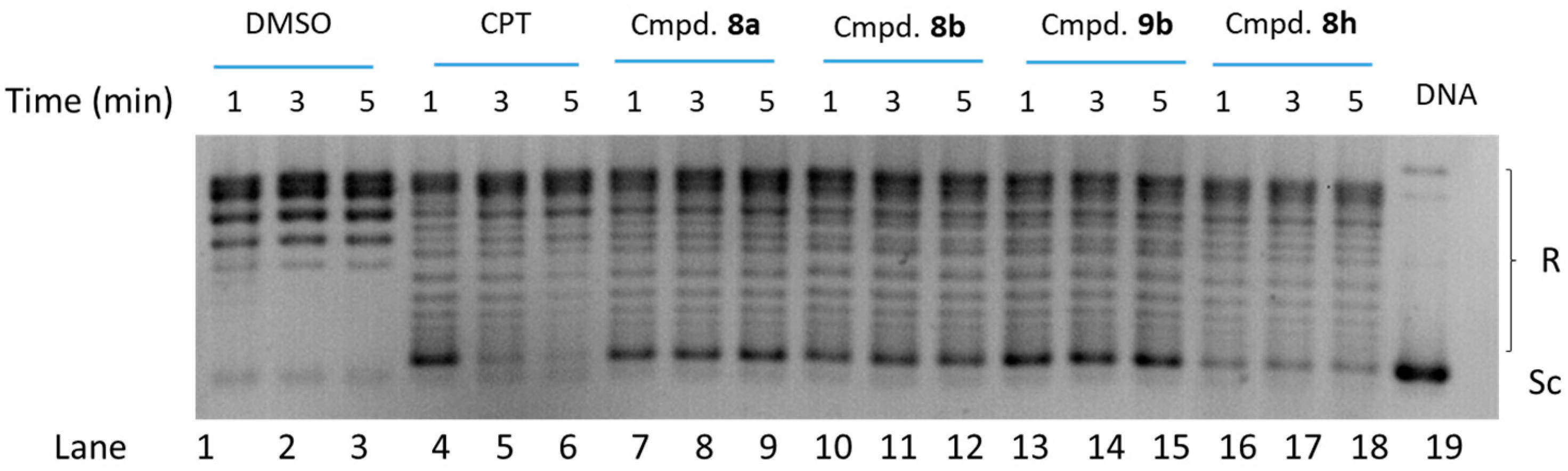 Molecules 29 05992 g003
