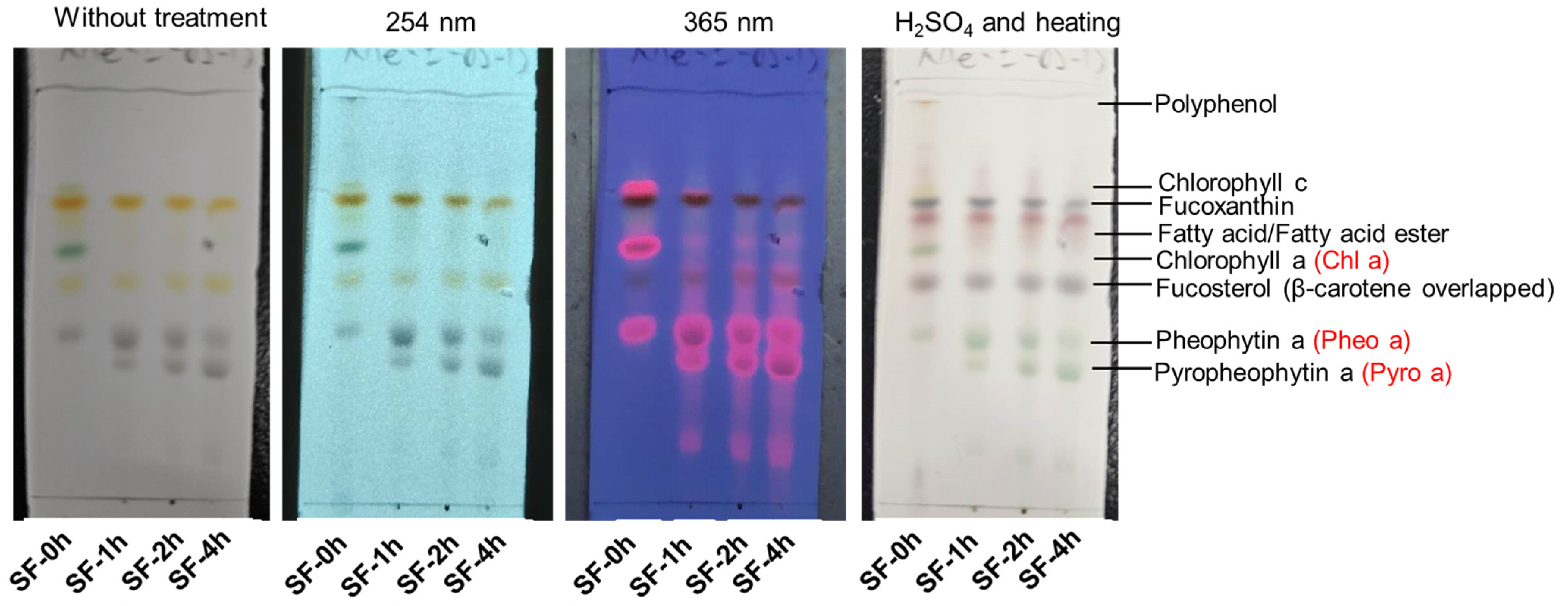 Molecules 29 06000 g002