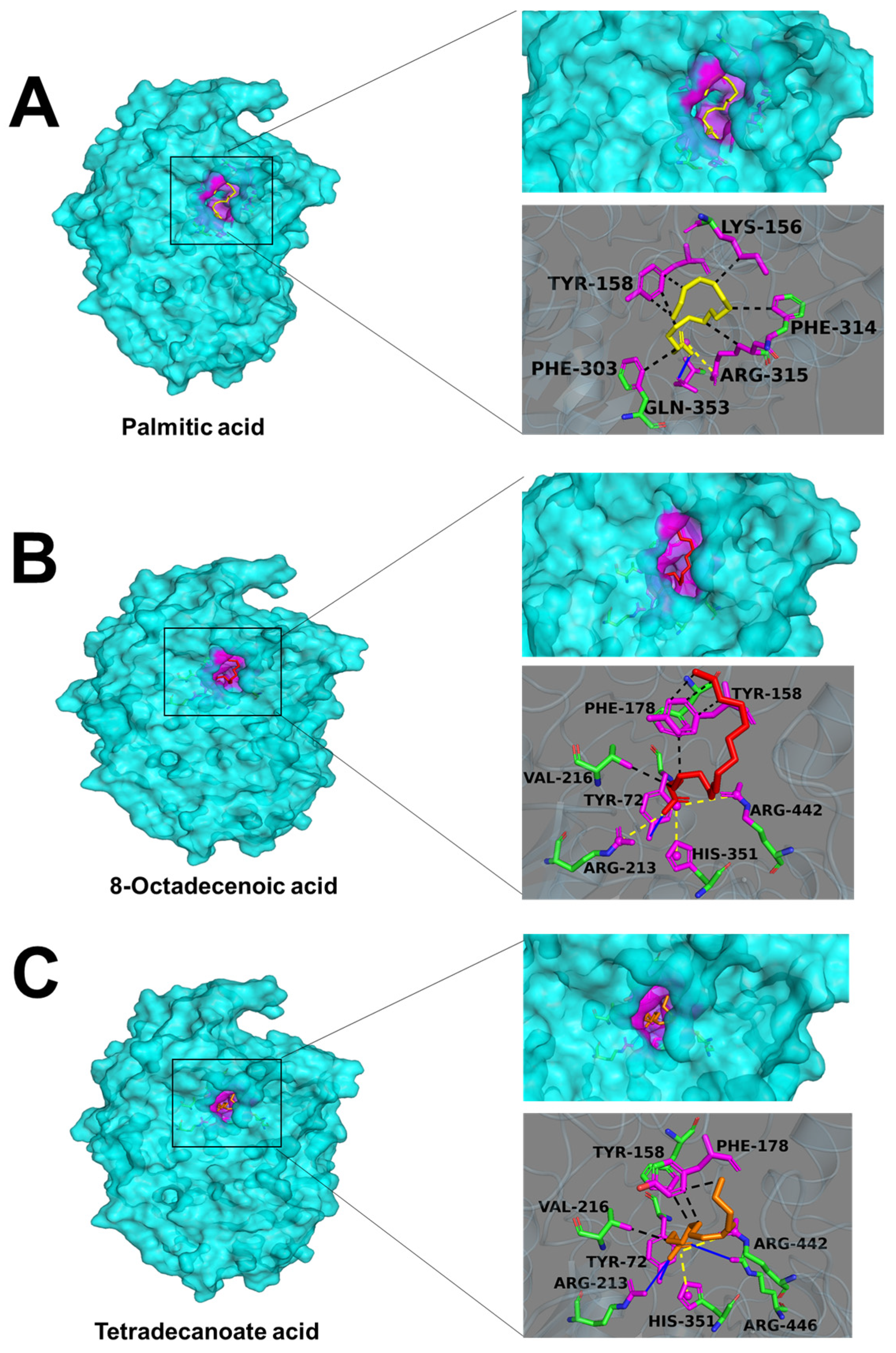 Molecules 29 06000 g008