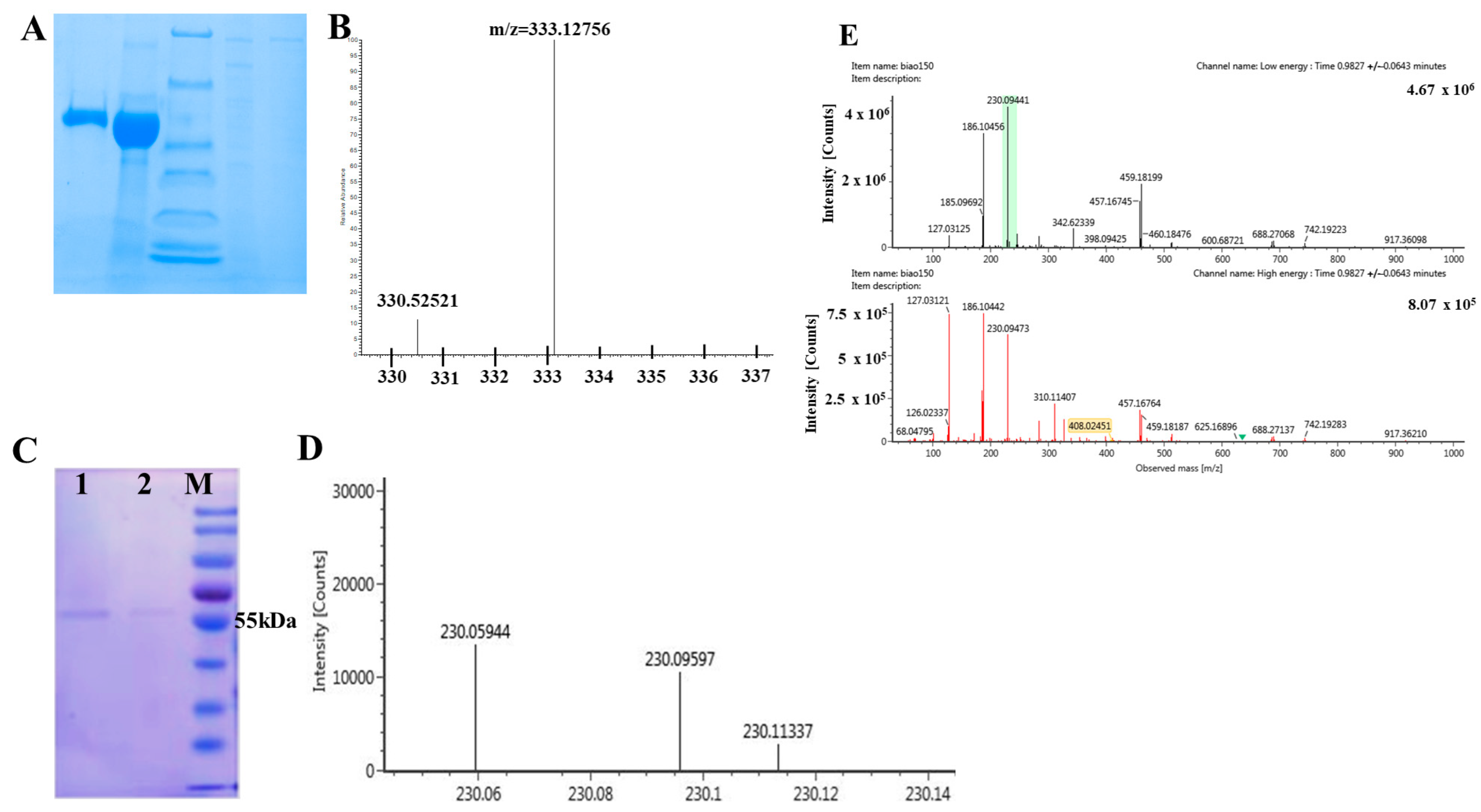 Molecules 29 06005 g003