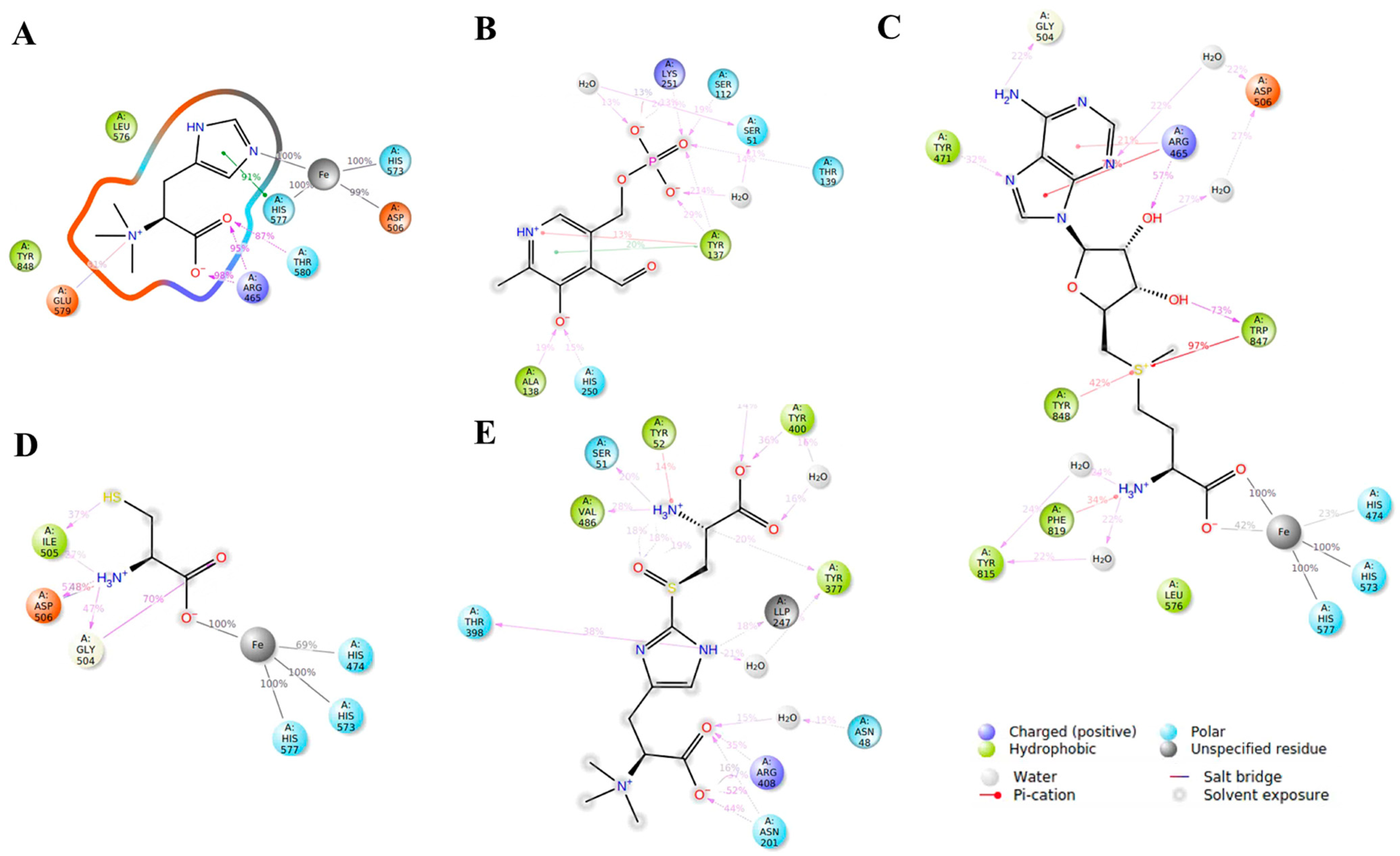 Molecules 29 06005 g004