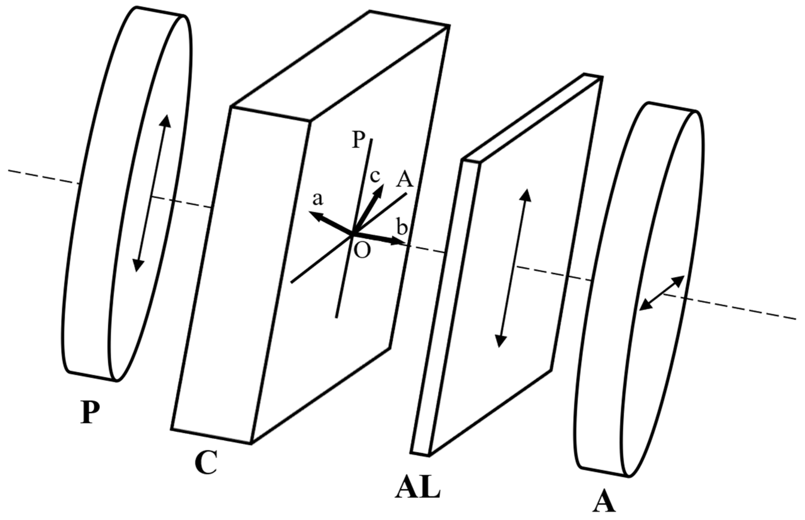 Molecules 29 06007 g001
