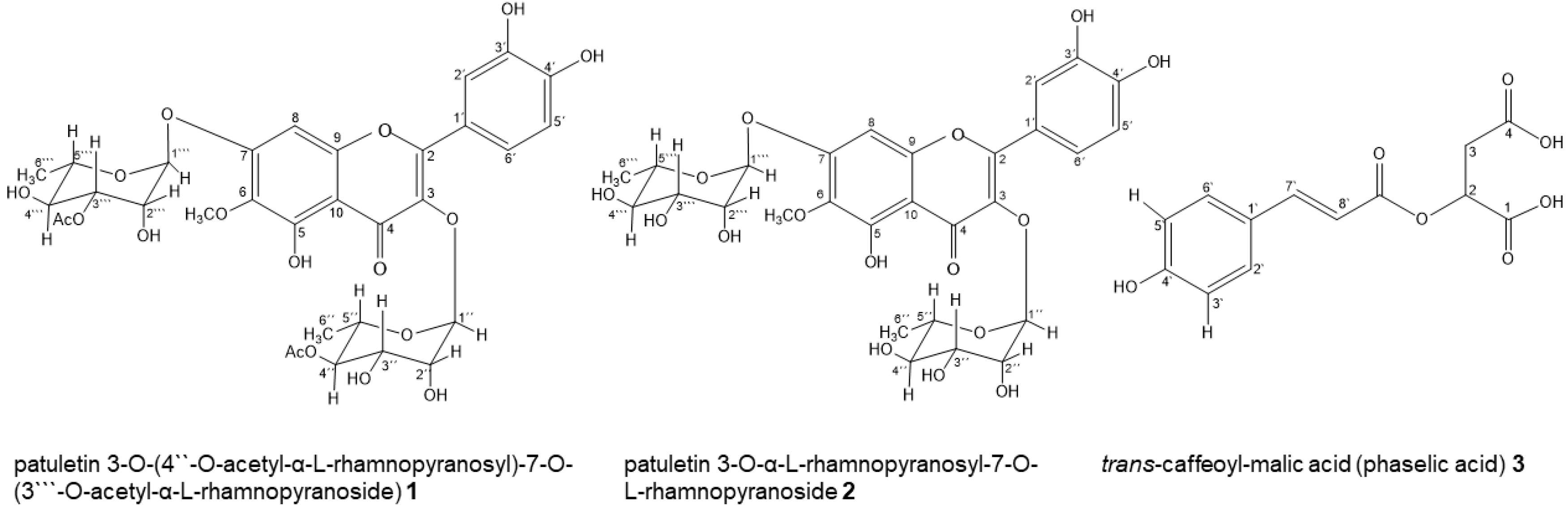 Molecules 29 06010 g001