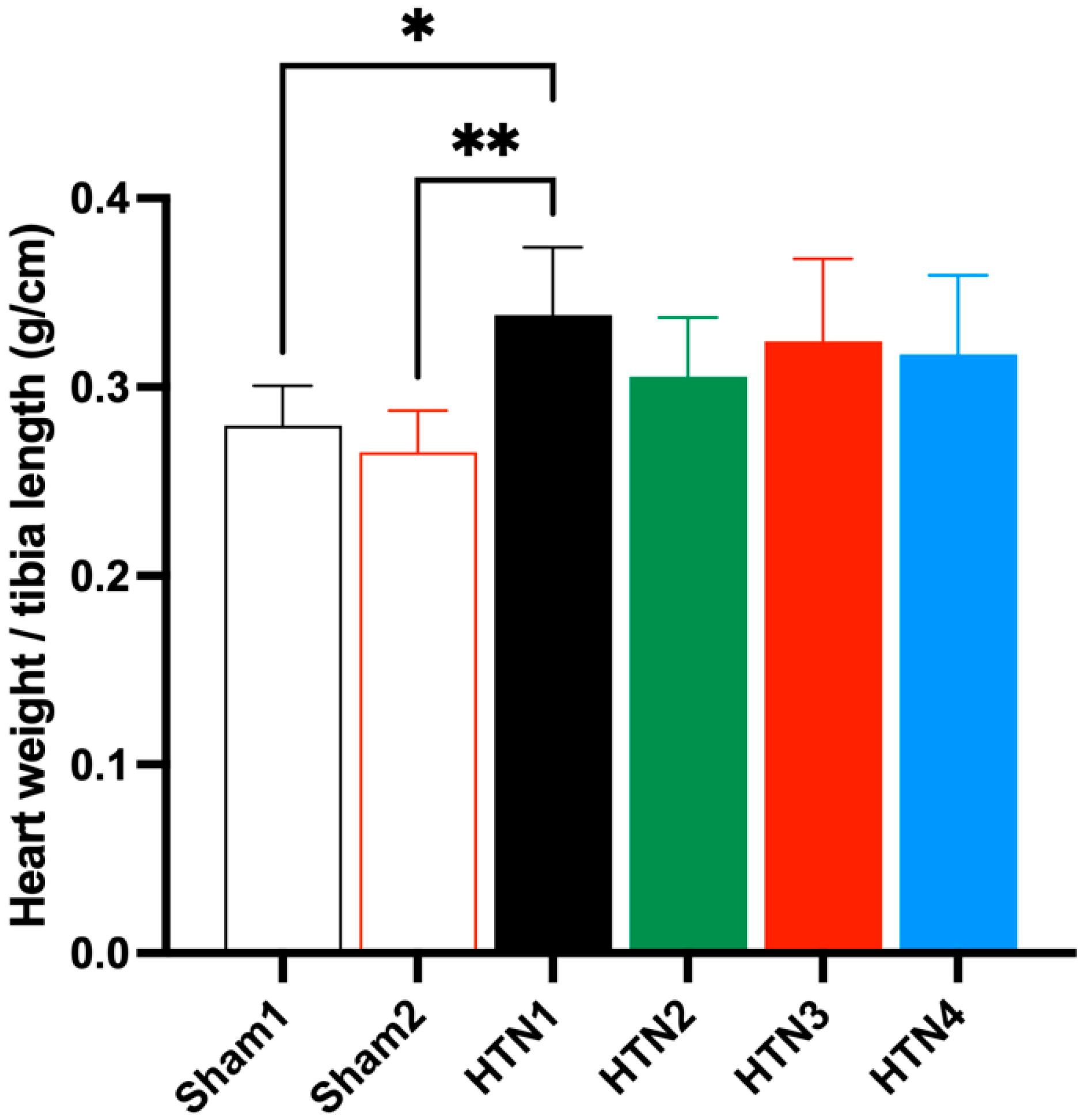 Molecules 29 06010 g002