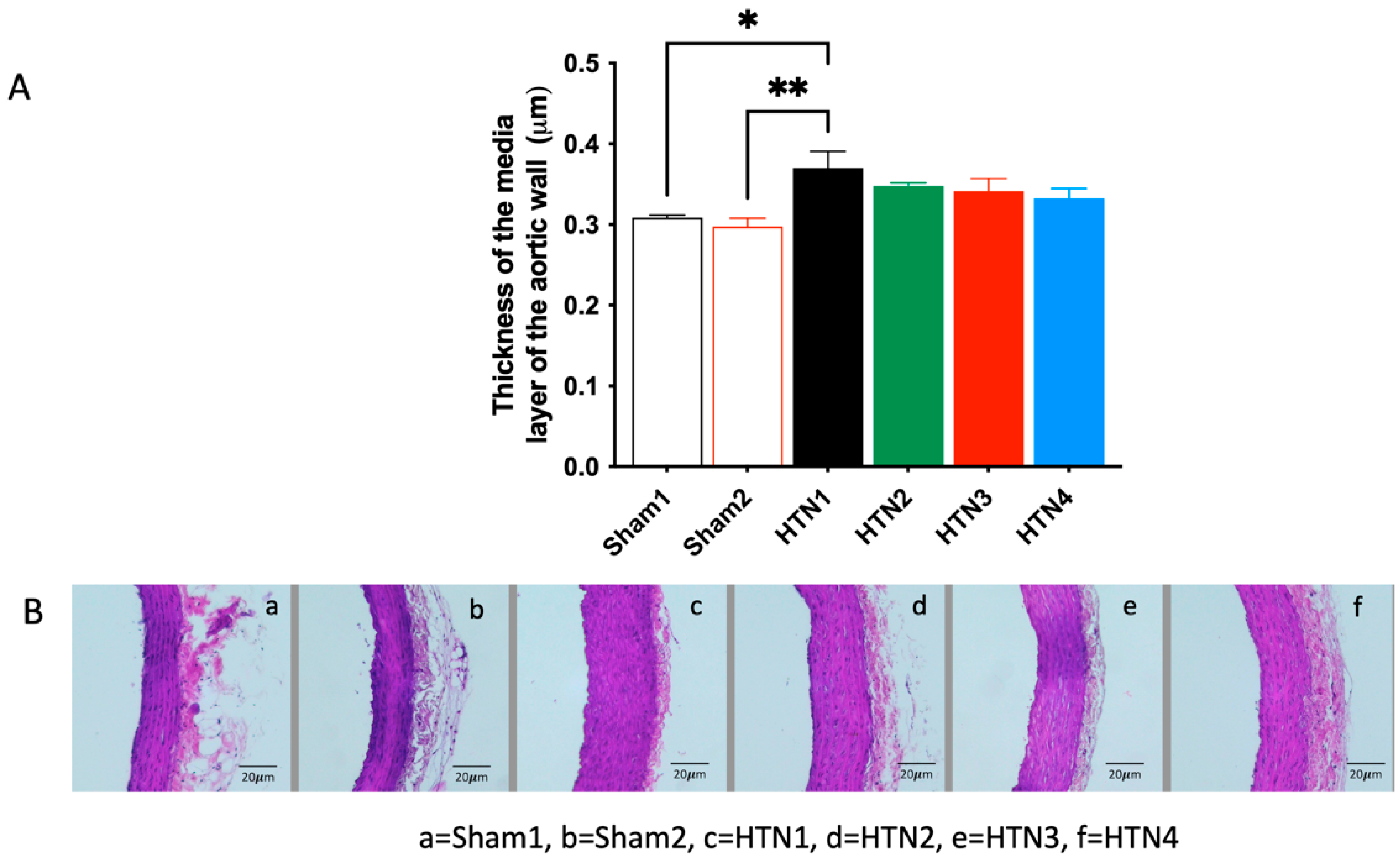 Molecules 29 06010 g003