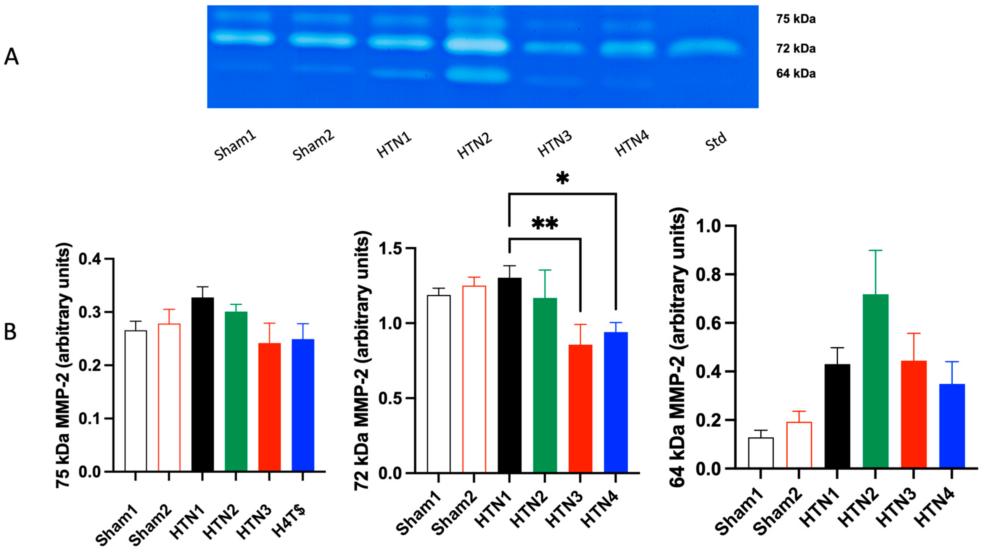 Molecules 29 06010 g005