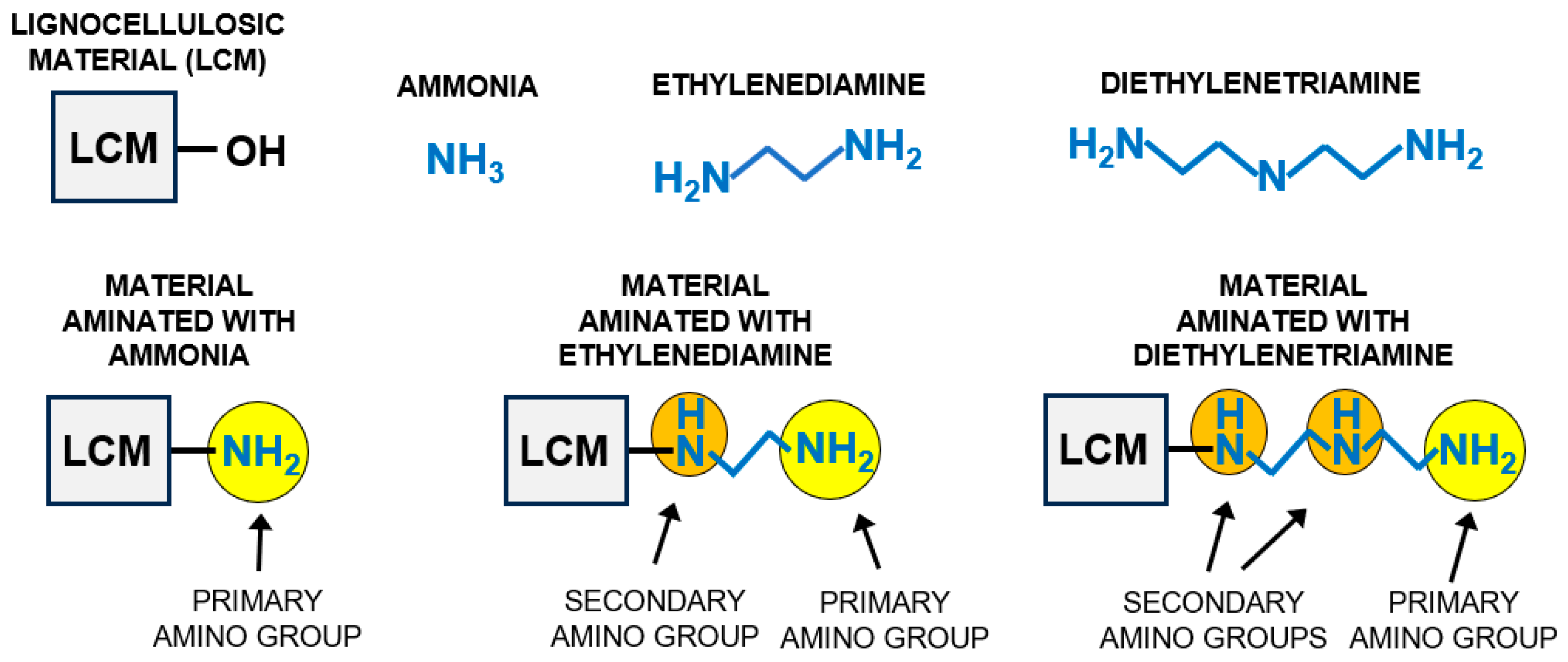 Molecules 29 06024 g001