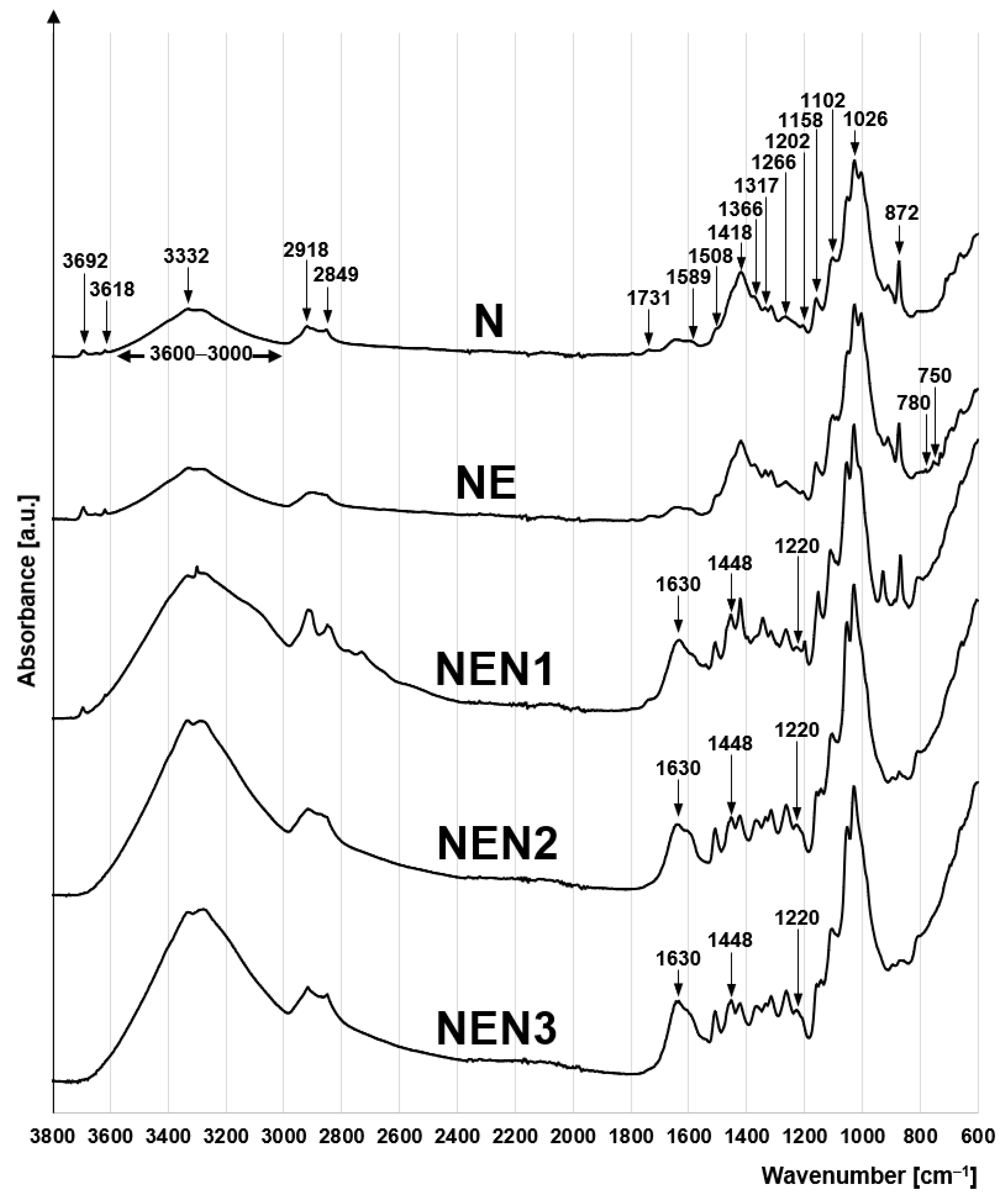 Molecules 29 06024 g002