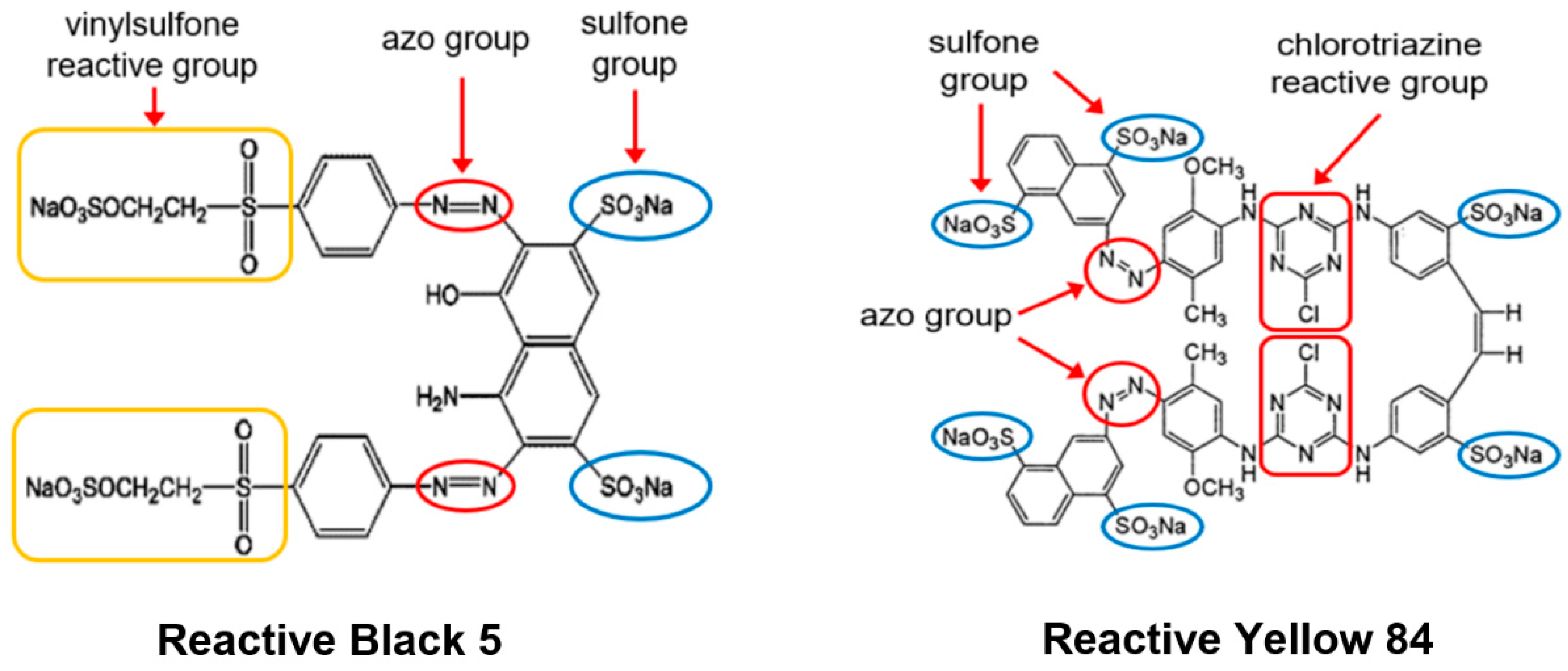 Molecules 29 06024 g008