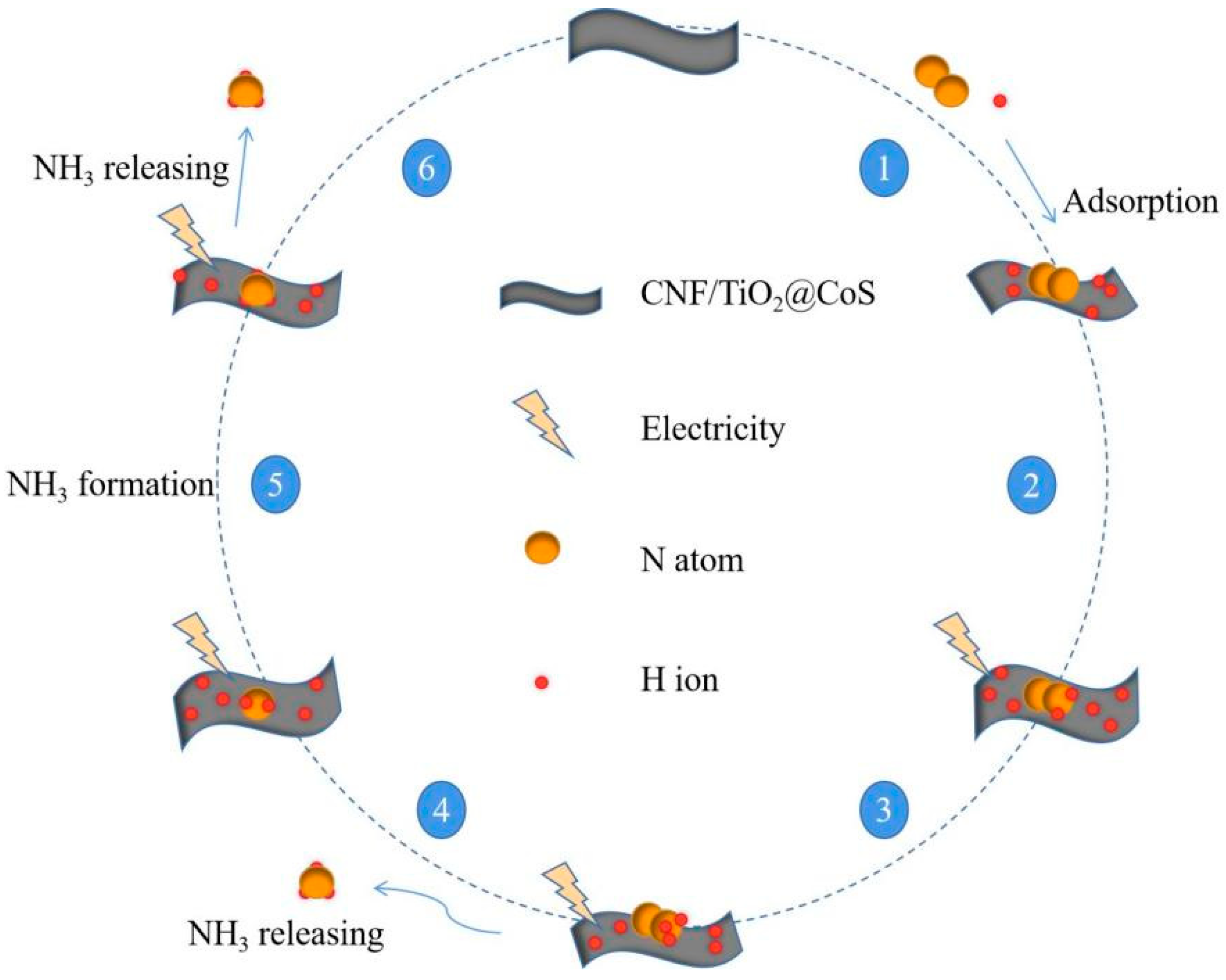 Molecules 29 06025 g009