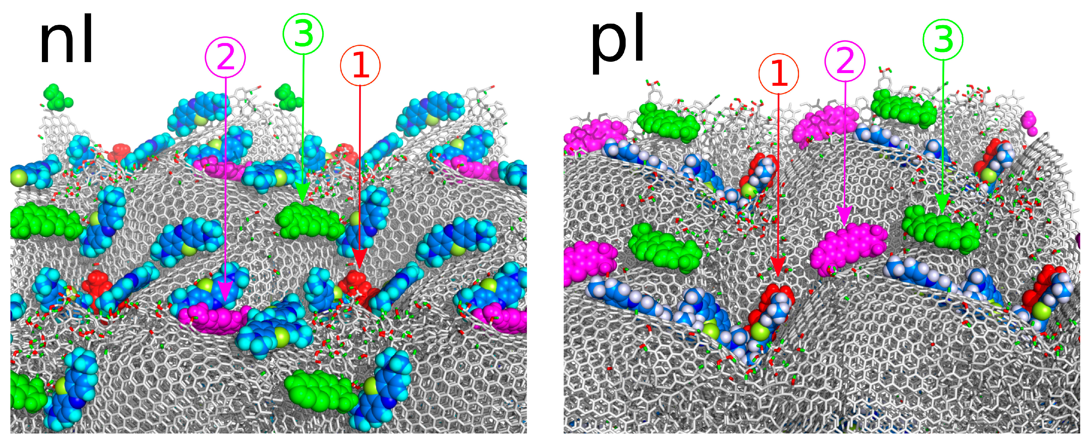 Molecules 29 06030 g008