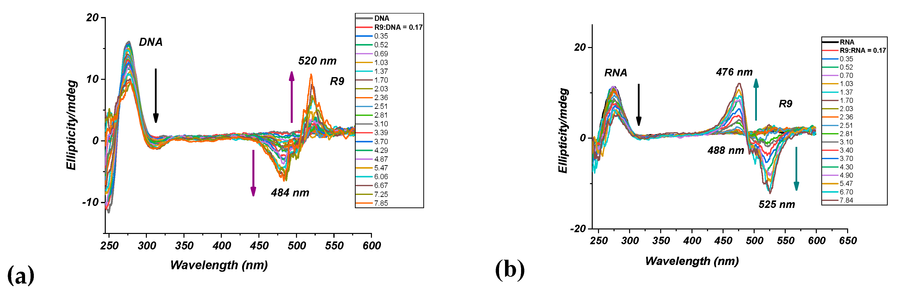 Molecules 29 06038 g003 Molecules 29 06038 g003
