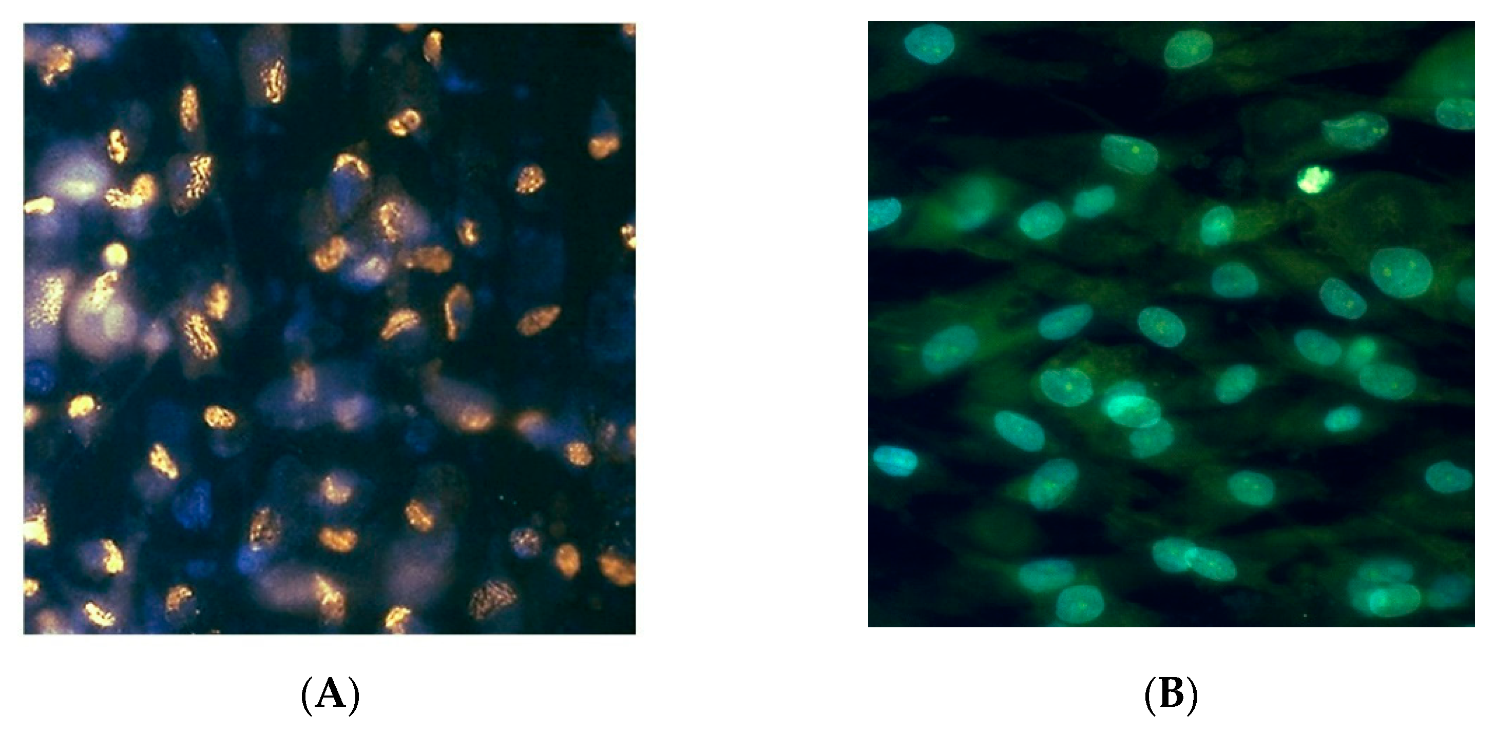 Molecules 29 06038 g006 Molecules 29 06038 g006