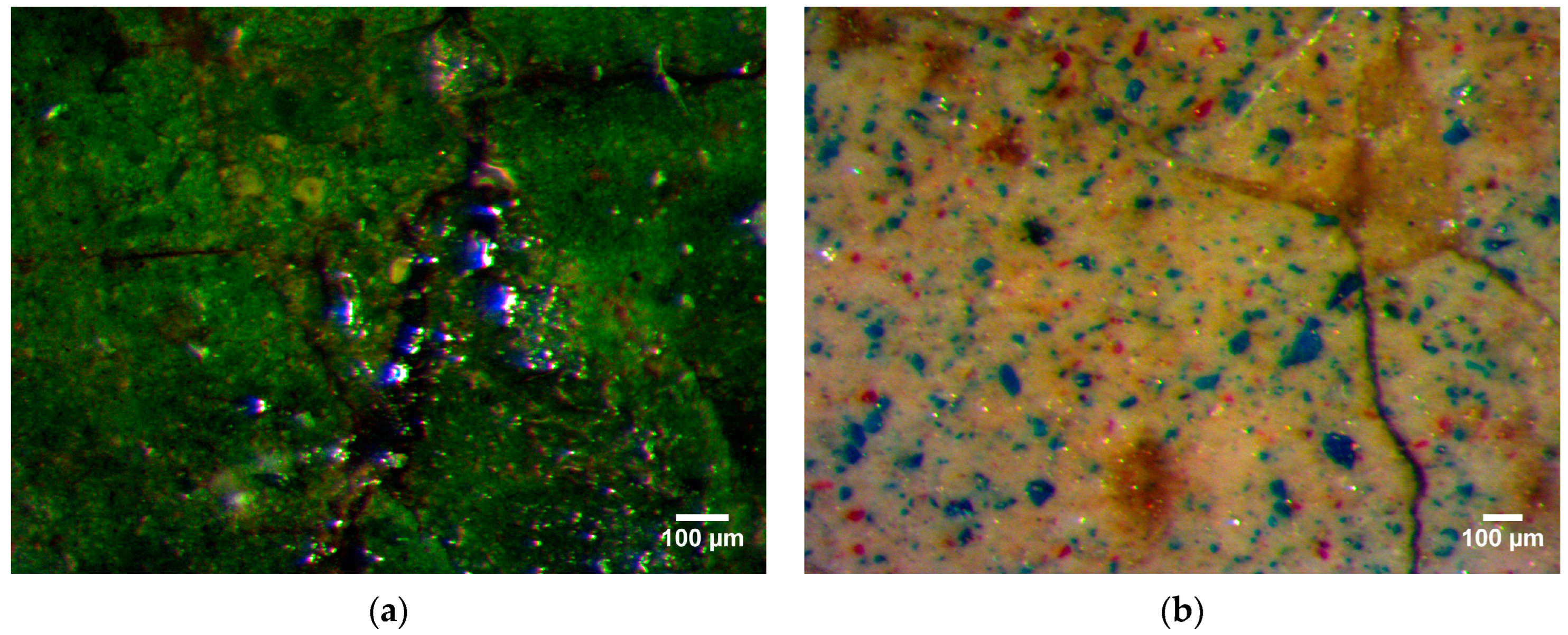 Molecules 29 06043 g002 Molecules 29 06043 g002