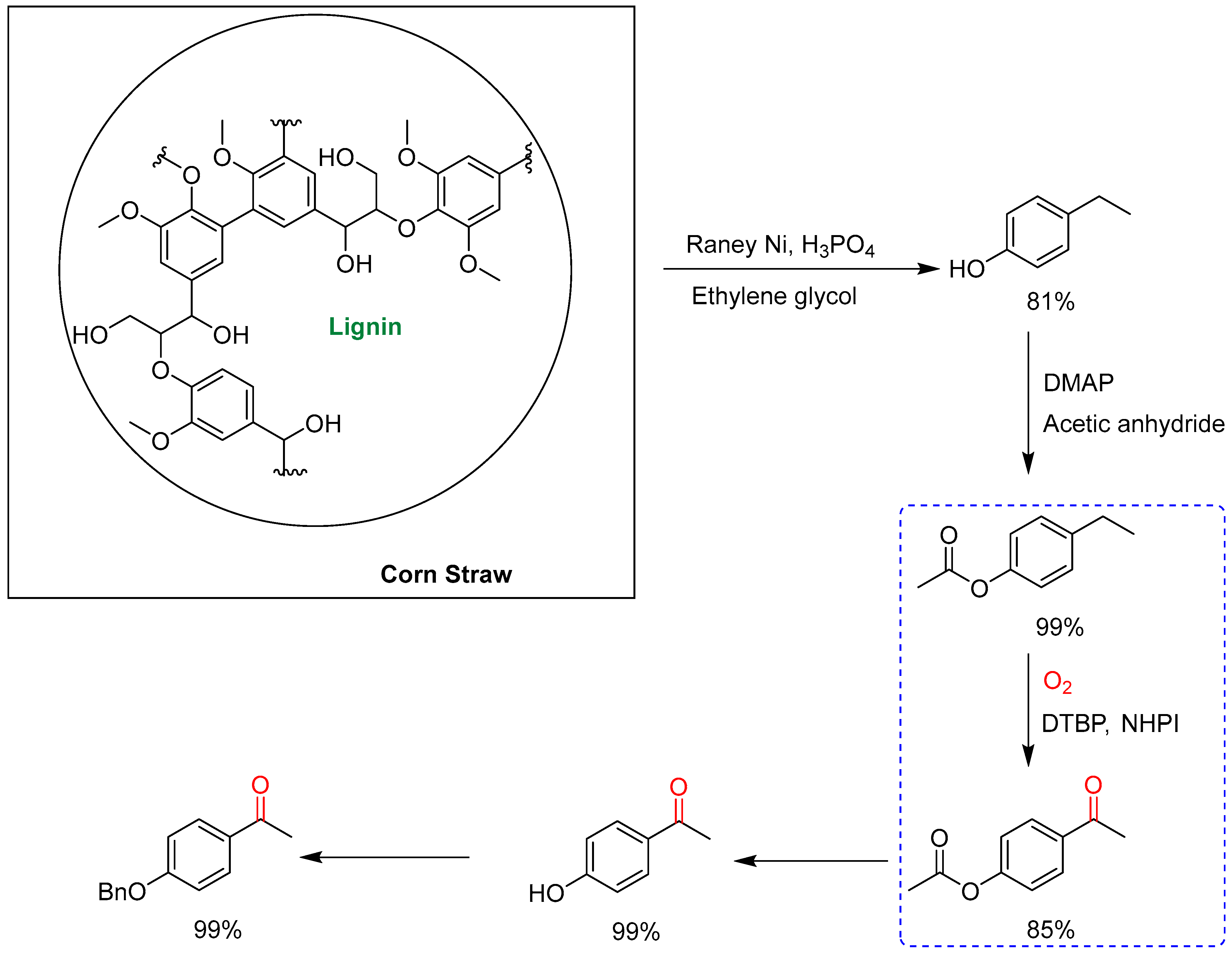 Molecules 29 06047 sch026