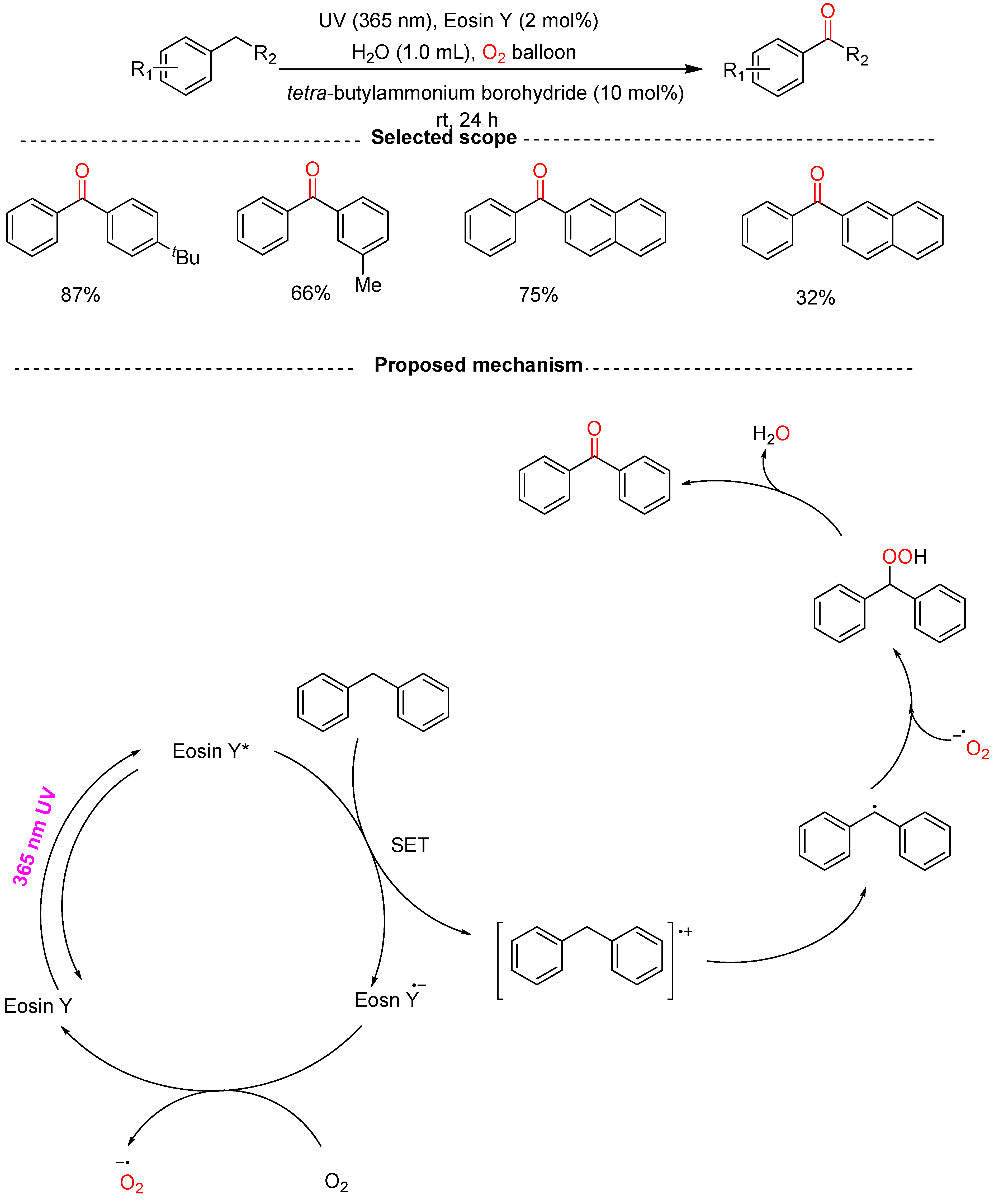Molecules 29 06047 sch028